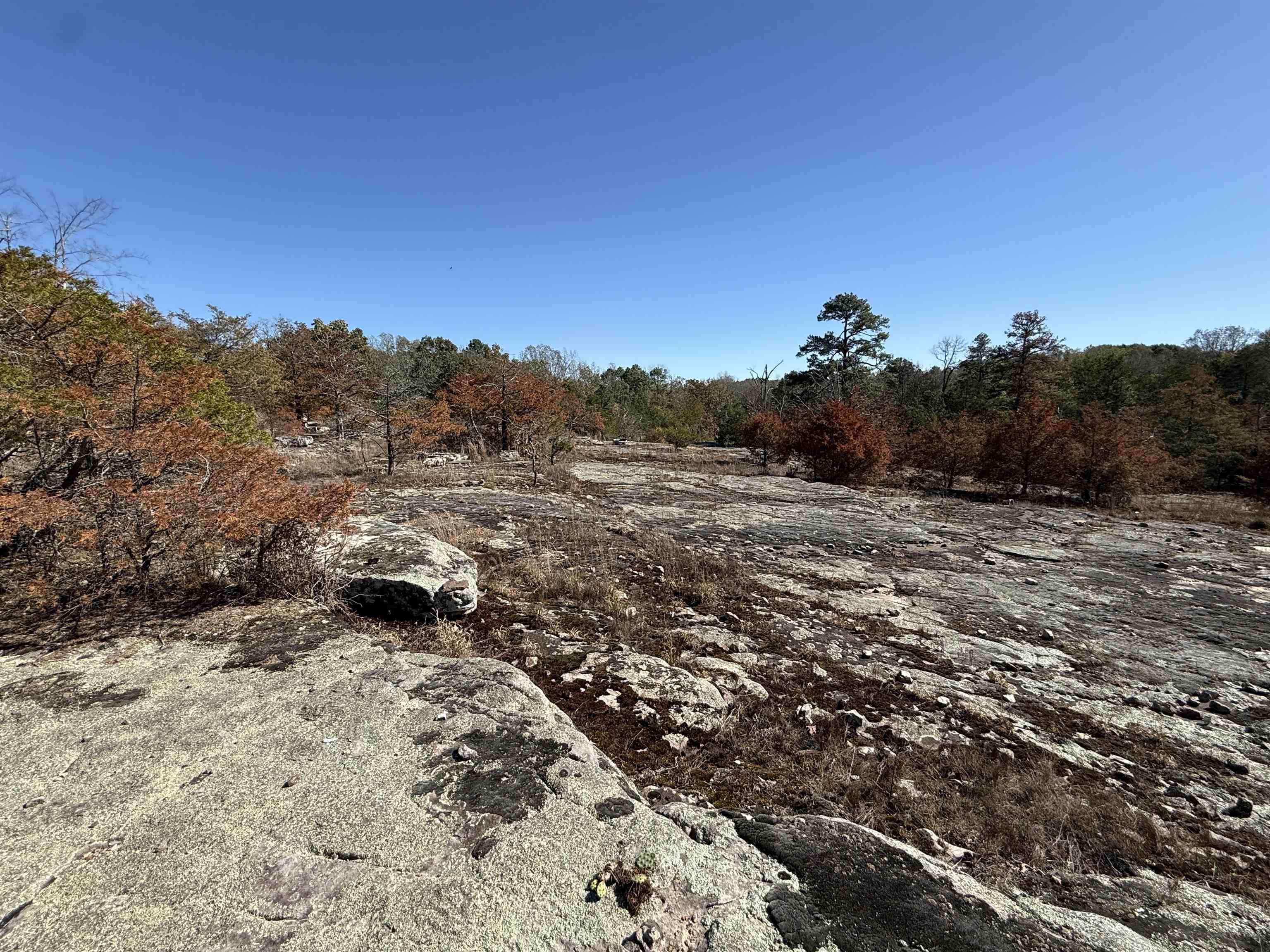 Photo 3 - Residential for sale – 4090  AR 56 Hwy   Wideman, AR