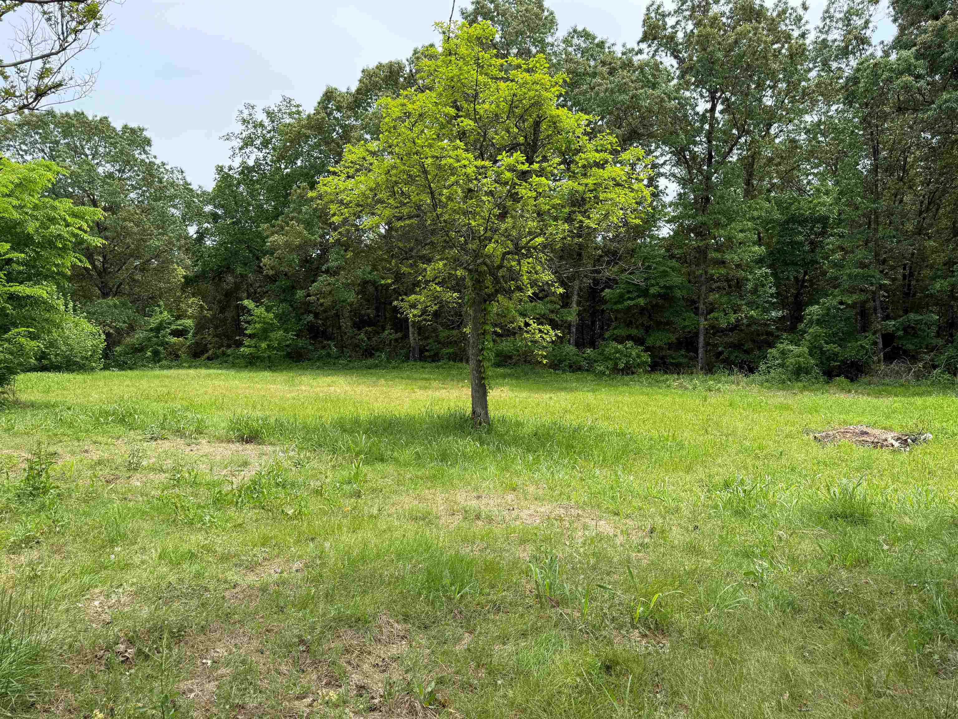 Photo 24 - Residential for sale – 4090  AR 56 Hwy   Wideman, AR
