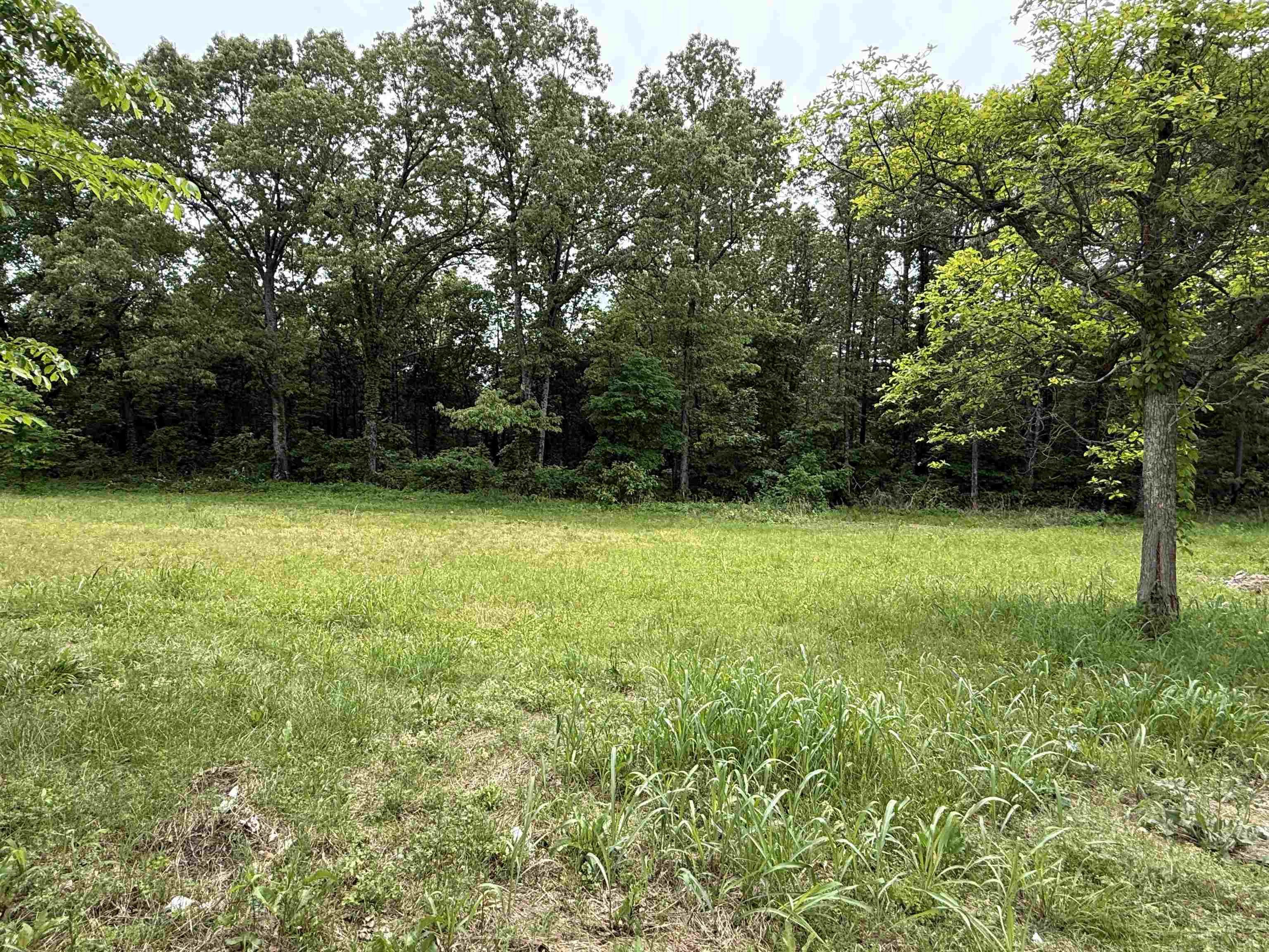 Photo 26 - Residential for sale – 4090  AR 56 Hwy   Wideman, AR