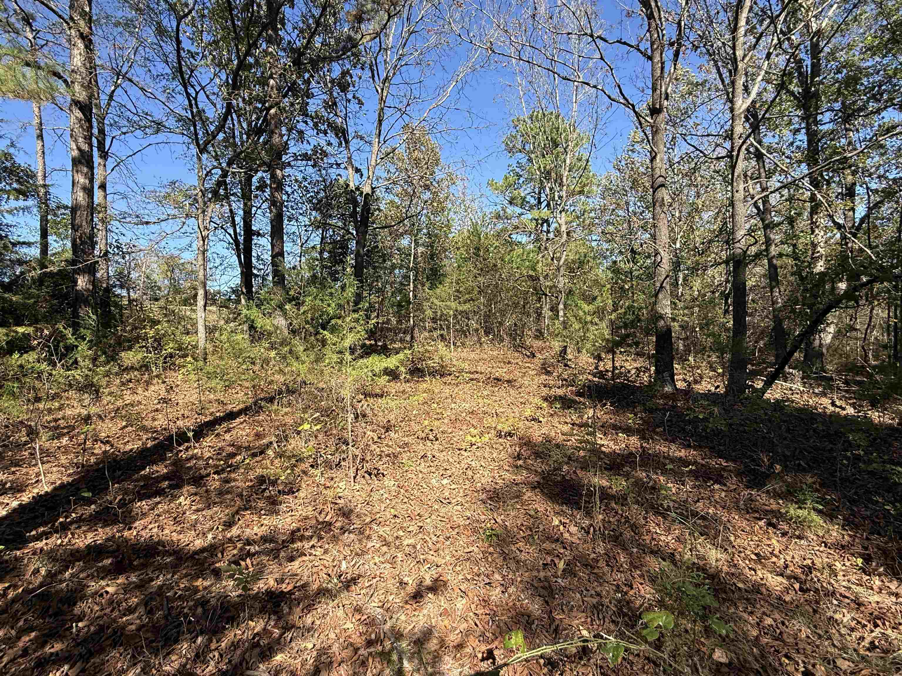 Photo 30 - Residential for sale – 4090  AR 56 Hwy   Wideman, AR
