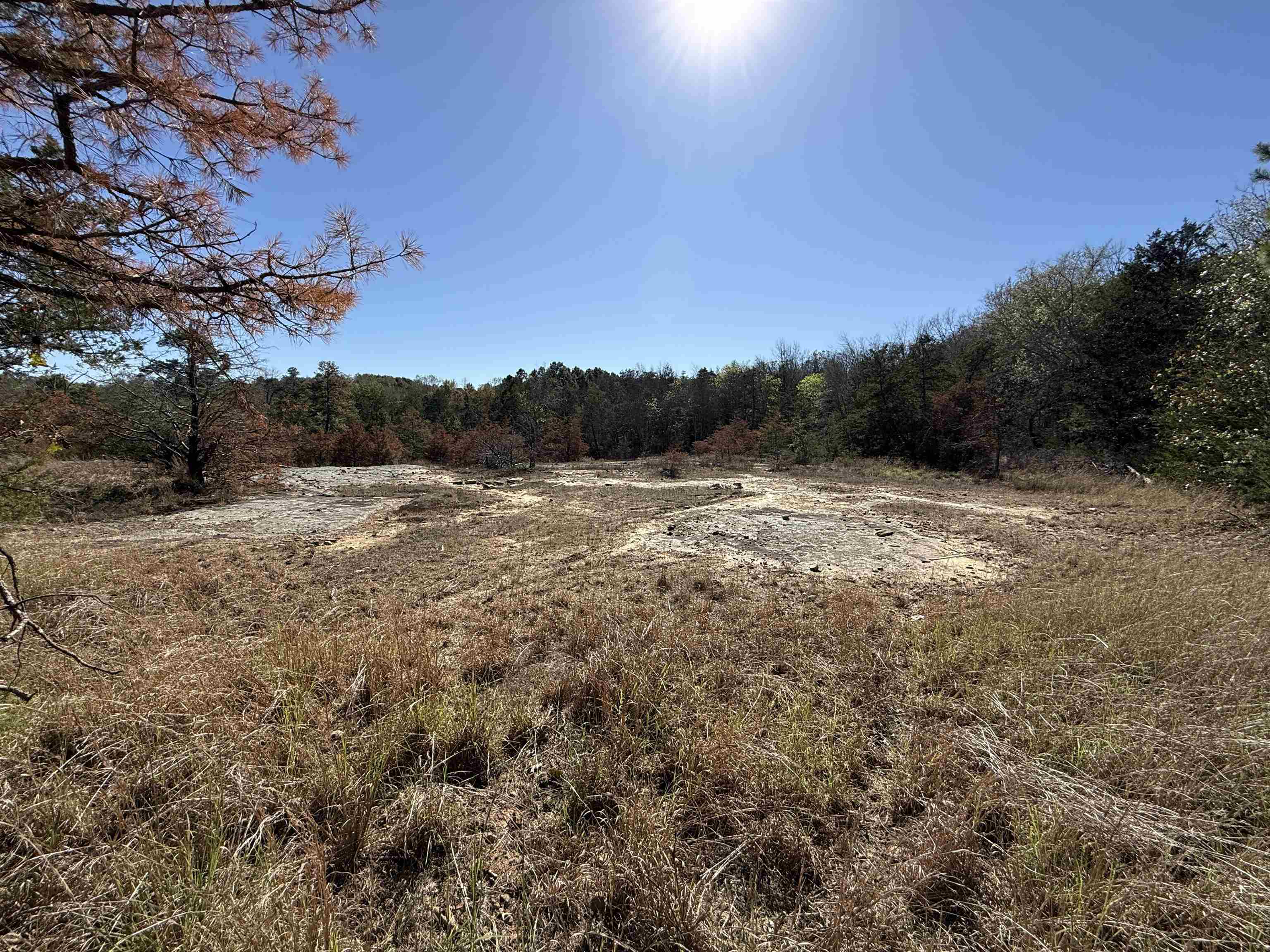 Photo 4 - Residential for sale – 4090  AR 56 Hwy   Wideman, AR