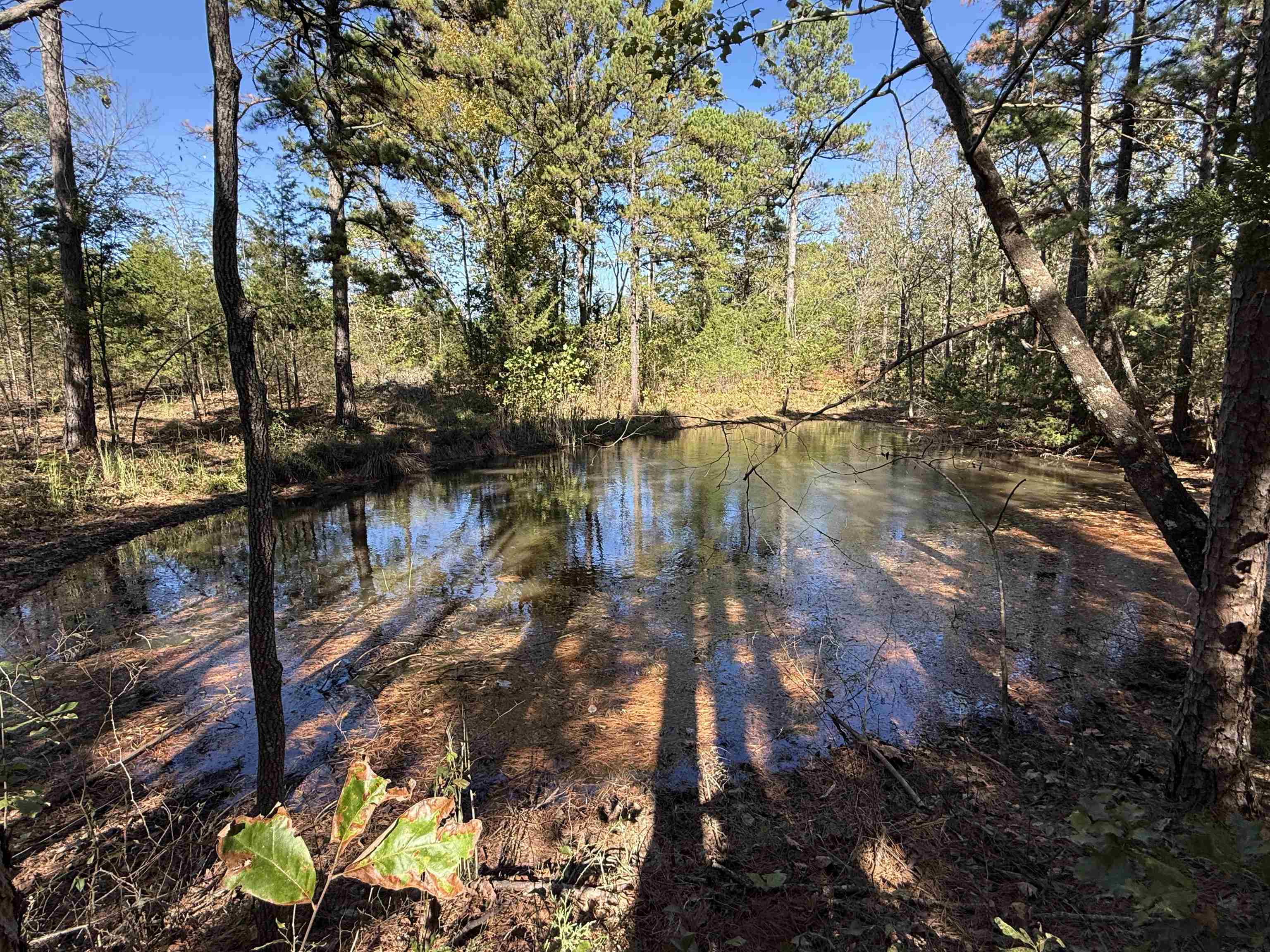 Photo 31 - Residential for sale – 4090  AR 56 Hwy   Wideman, AR