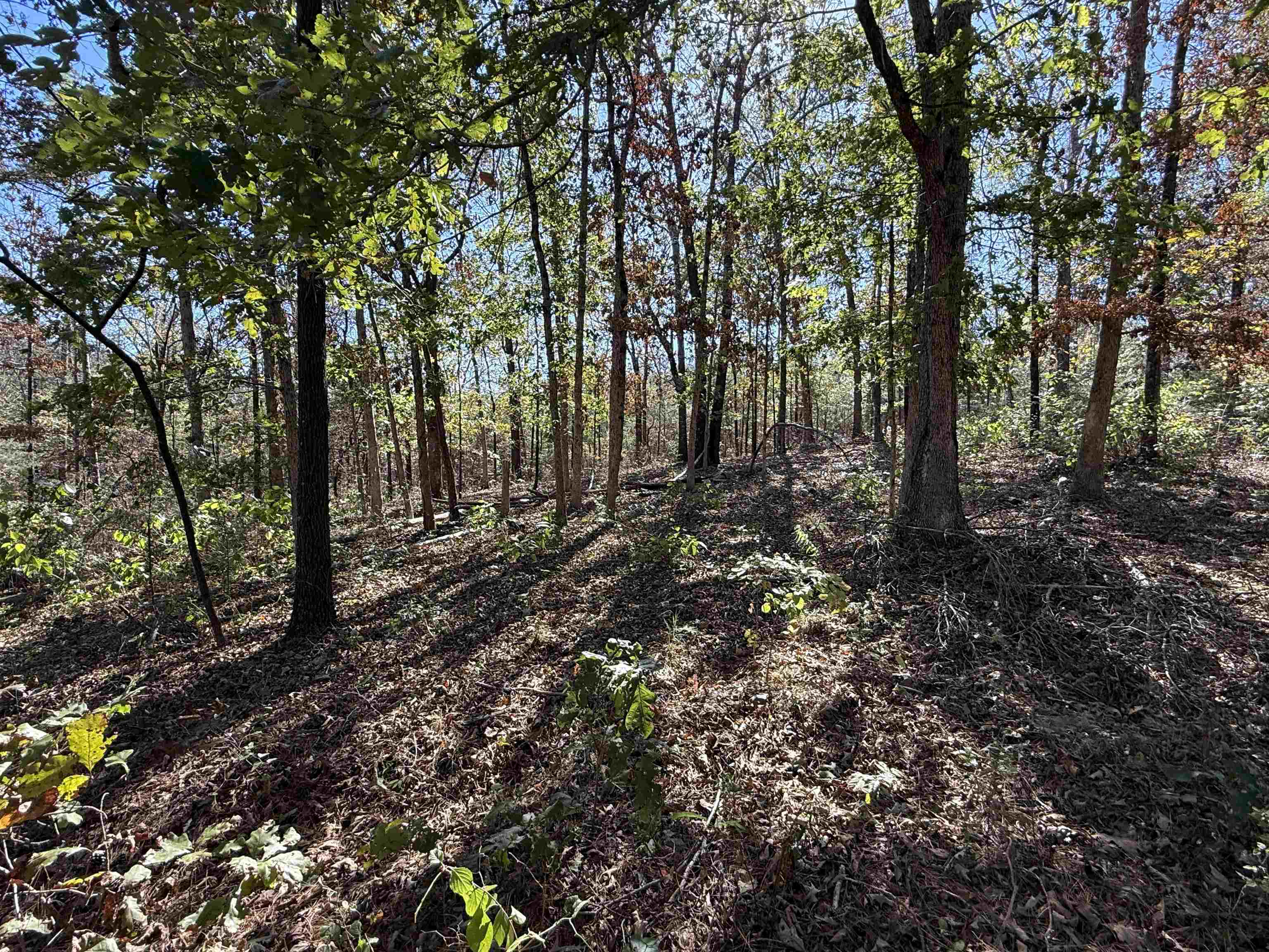 Photo 32 - Residential for sale – 4090  AR 56 Hwy   Wideman, AR
