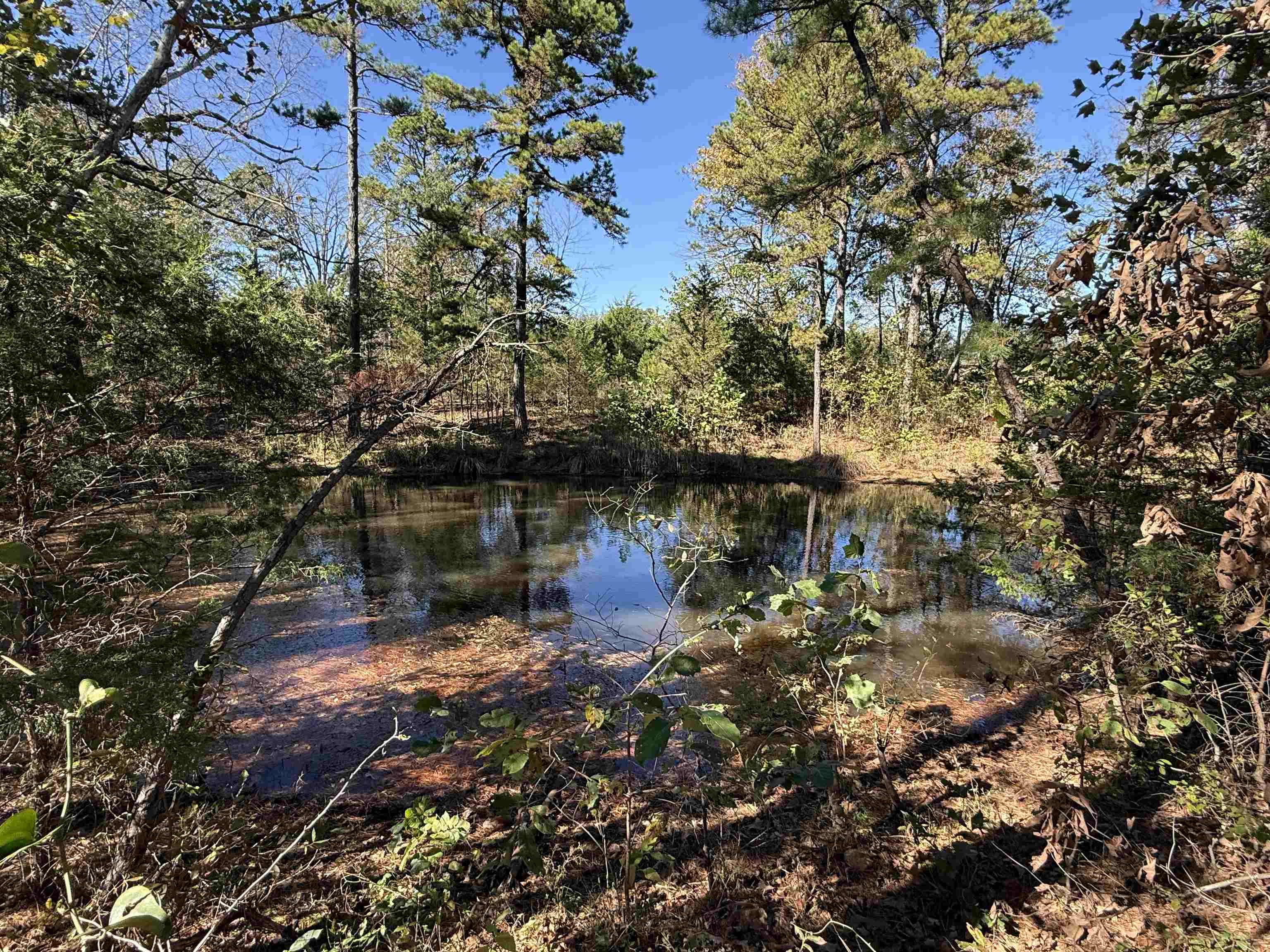 Photo 33 - Residential for sale – 4090  AR 56 Hwy   Wideman, AR