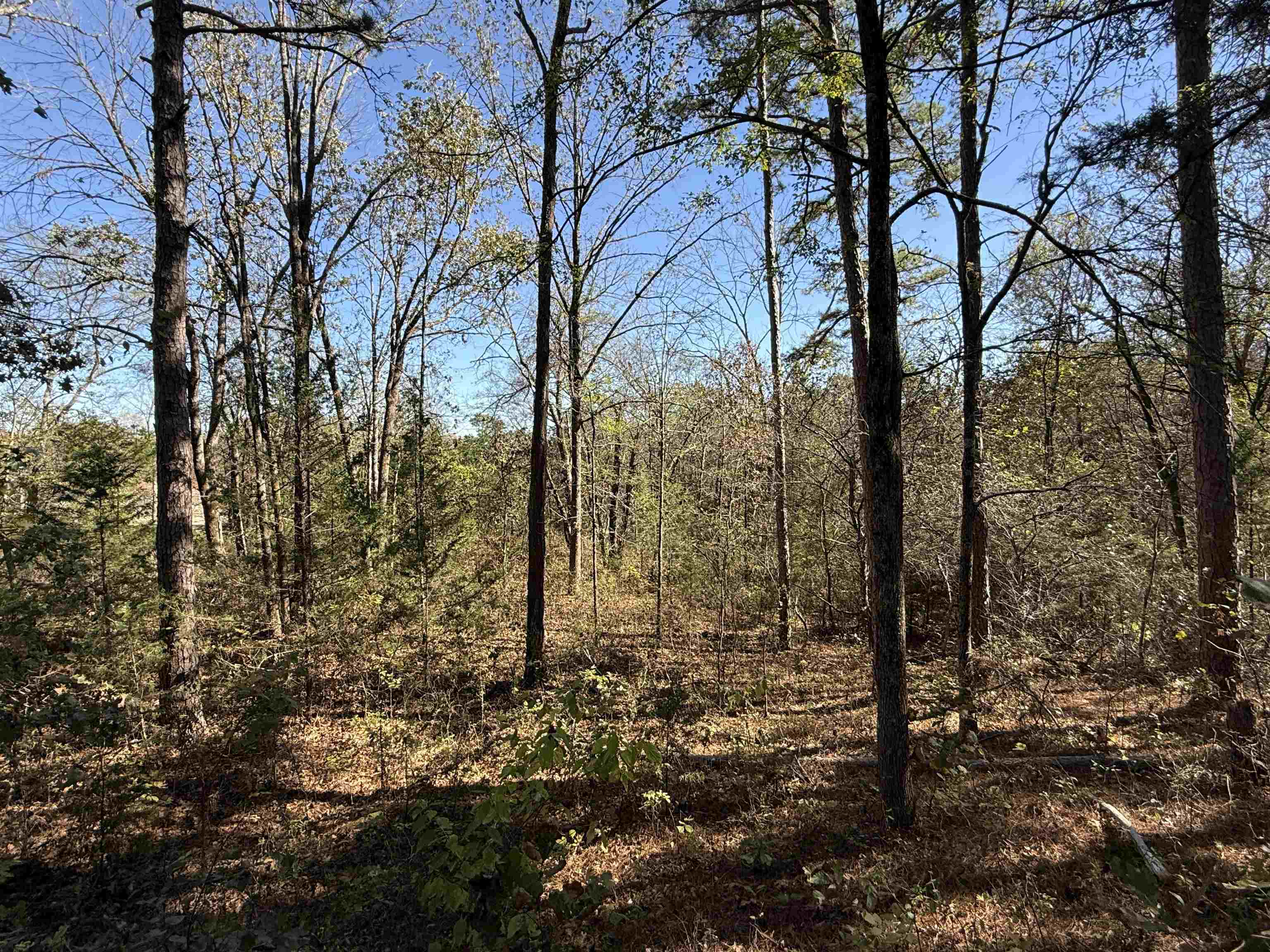 Photo 34 - Residential for sale – 4090  AR 56 Hwy   Wideman, AR