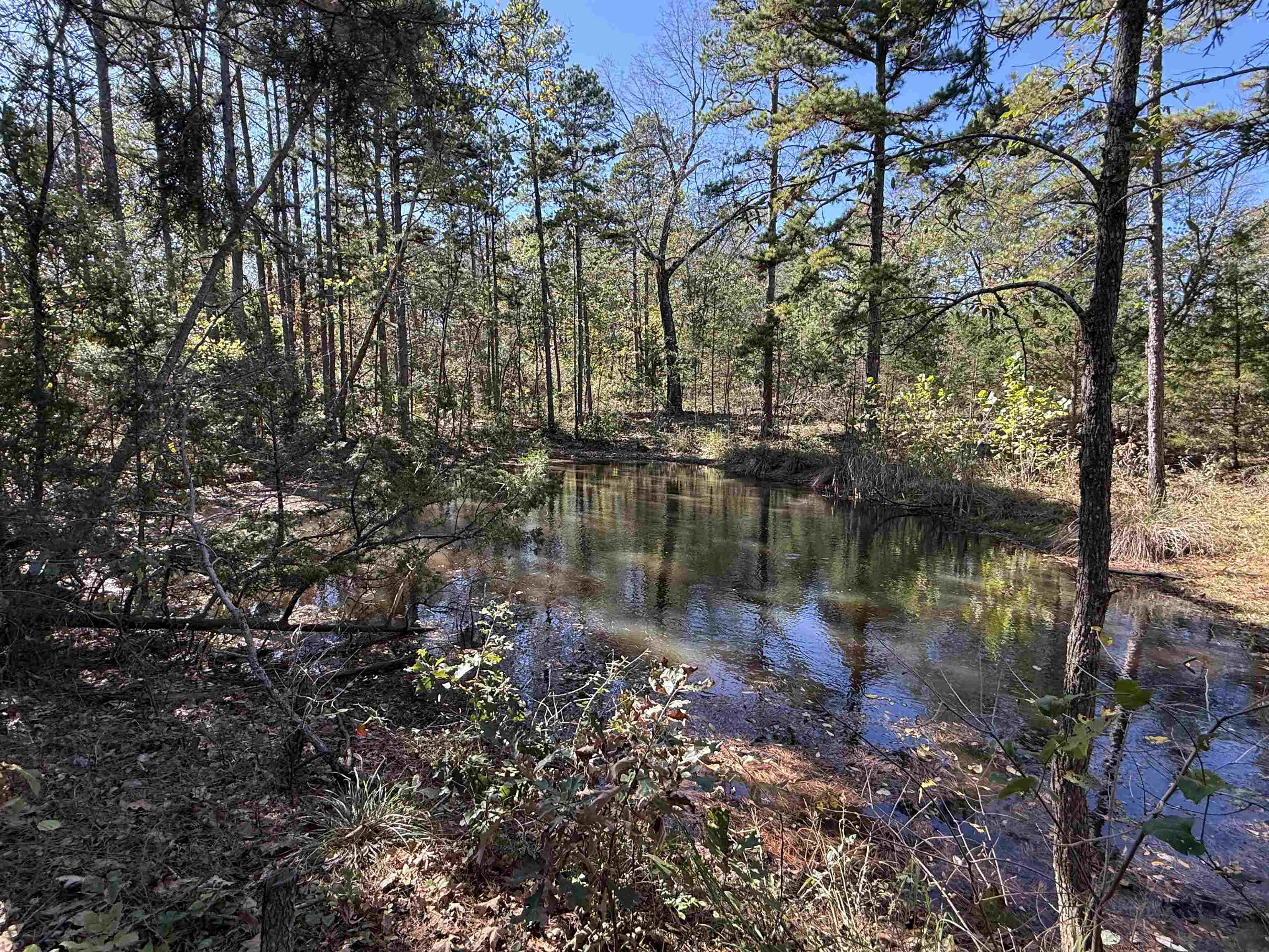 Photo 35 - Residential for sale – 4090  AR 56 Hwy   Wideman, AR