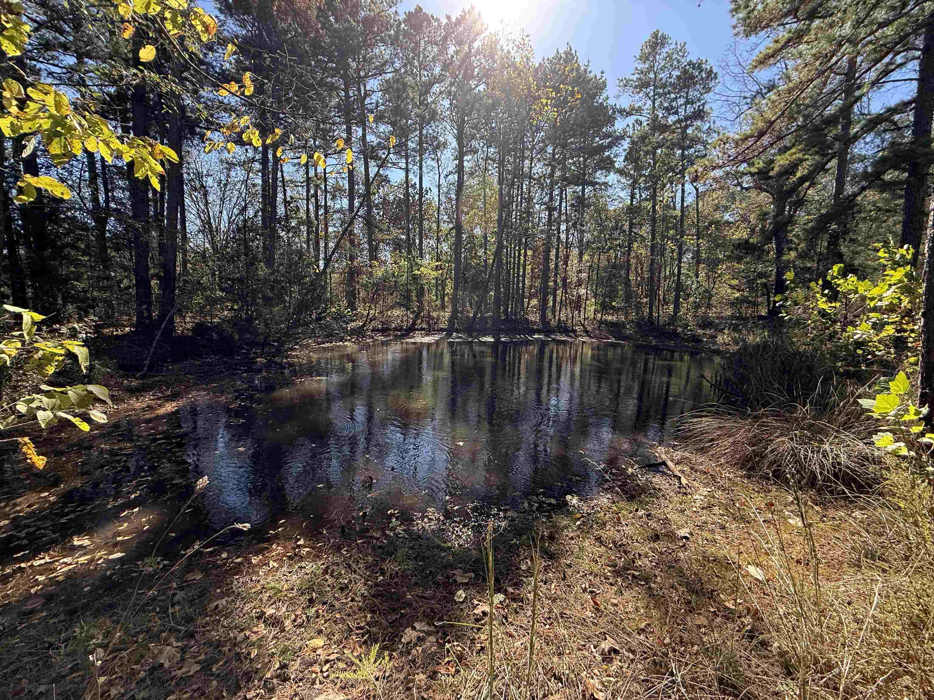 Photo 36 - Residential for sale – 4090  AR 56 Hwy   Wideman, AR