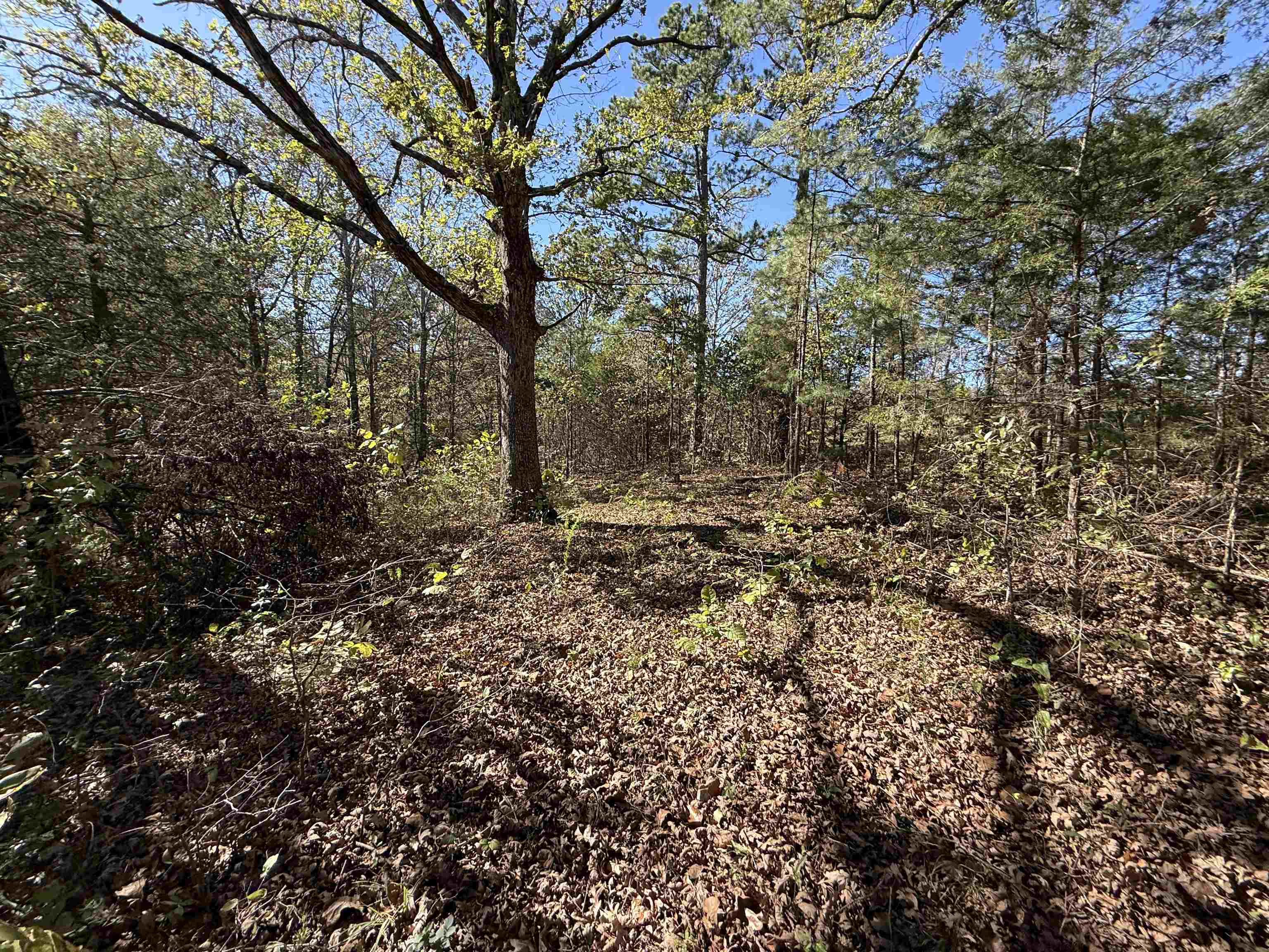 Photo 38 - Residential for sale – 4090  AR 56 Hwy   Wideman, AR