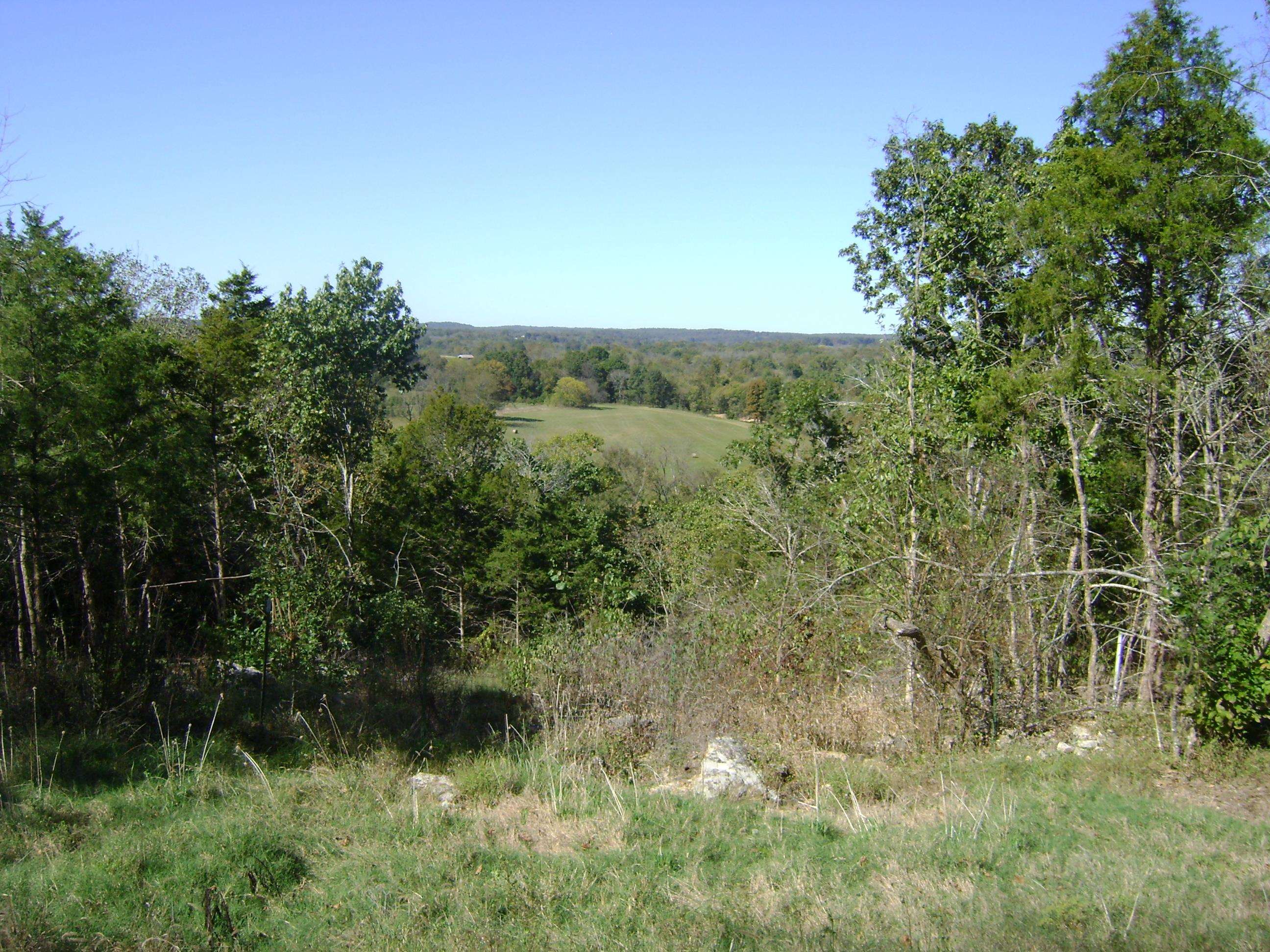 Photo 11 - Residential for sale – 1321 &1323  Riverview Drive   Horseshoe Bend, AR