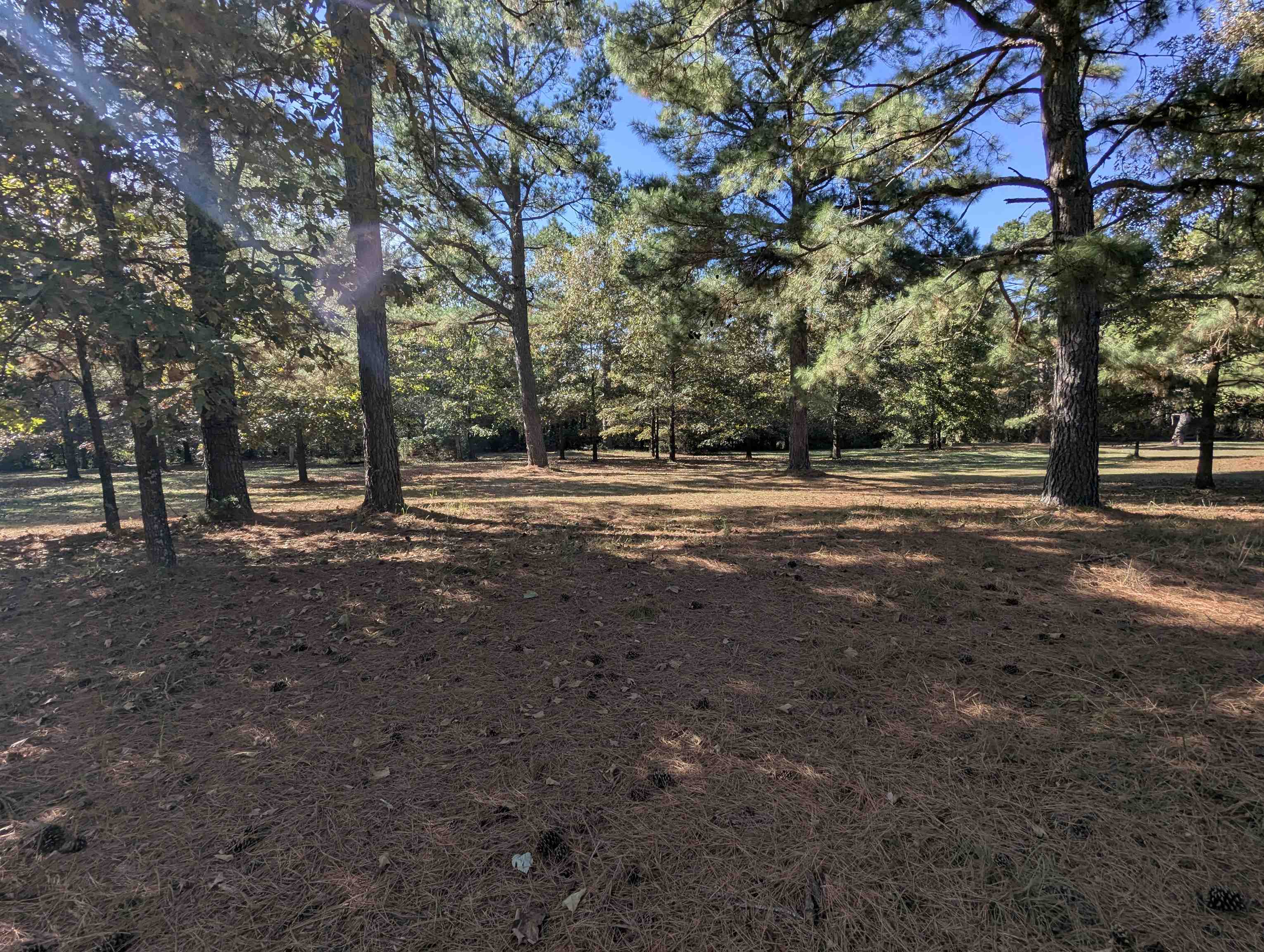 Photo 17 - Residential for sale – 498  Old Fort Rd   Melbourne, AR