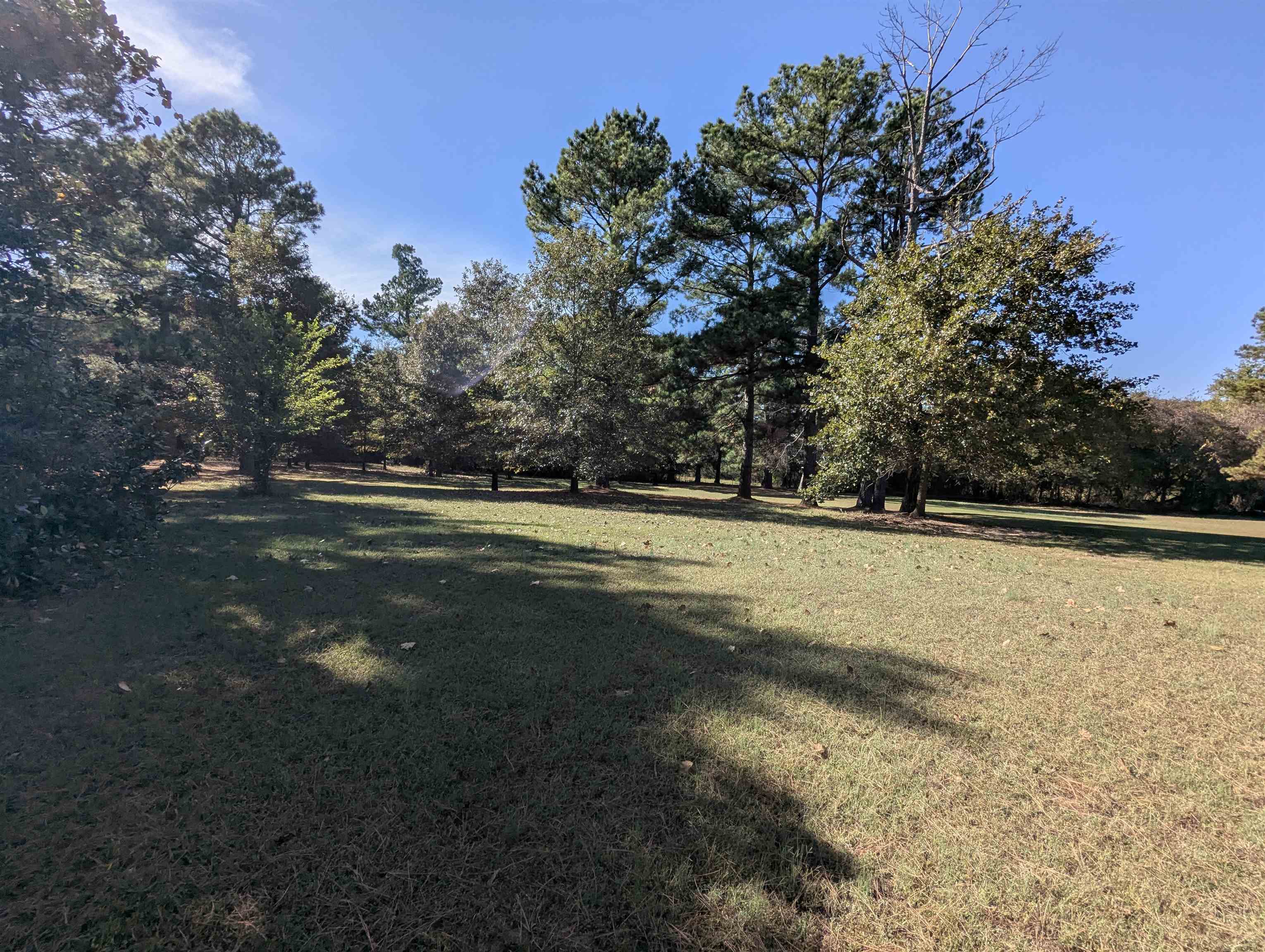 Photo 18 - Residential for sale – 498  Old Fort Rd   Melbourne, AR