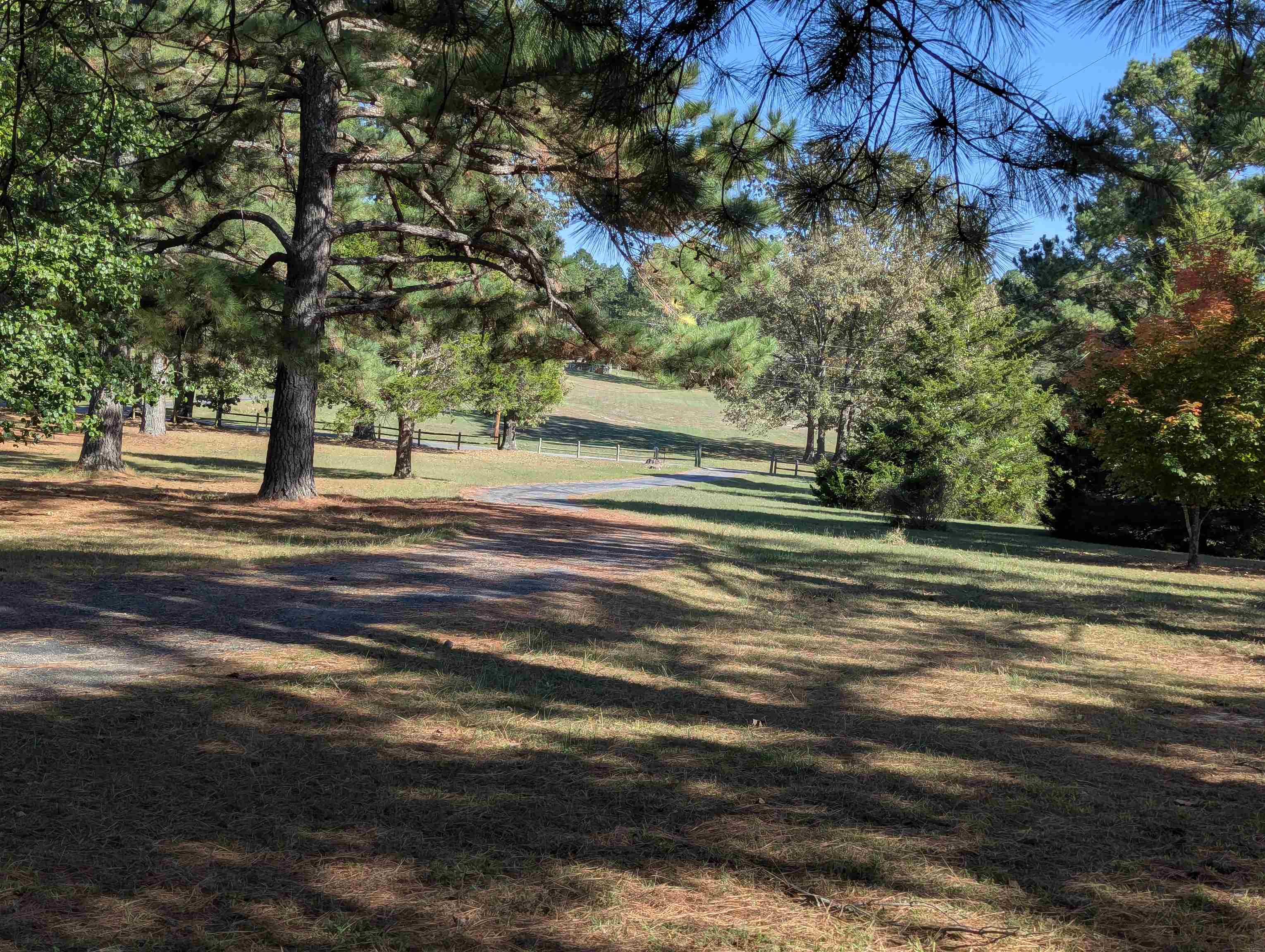 Photo 19 - Residential for sale – 498  Old Fort Rd   Melbourne, AR