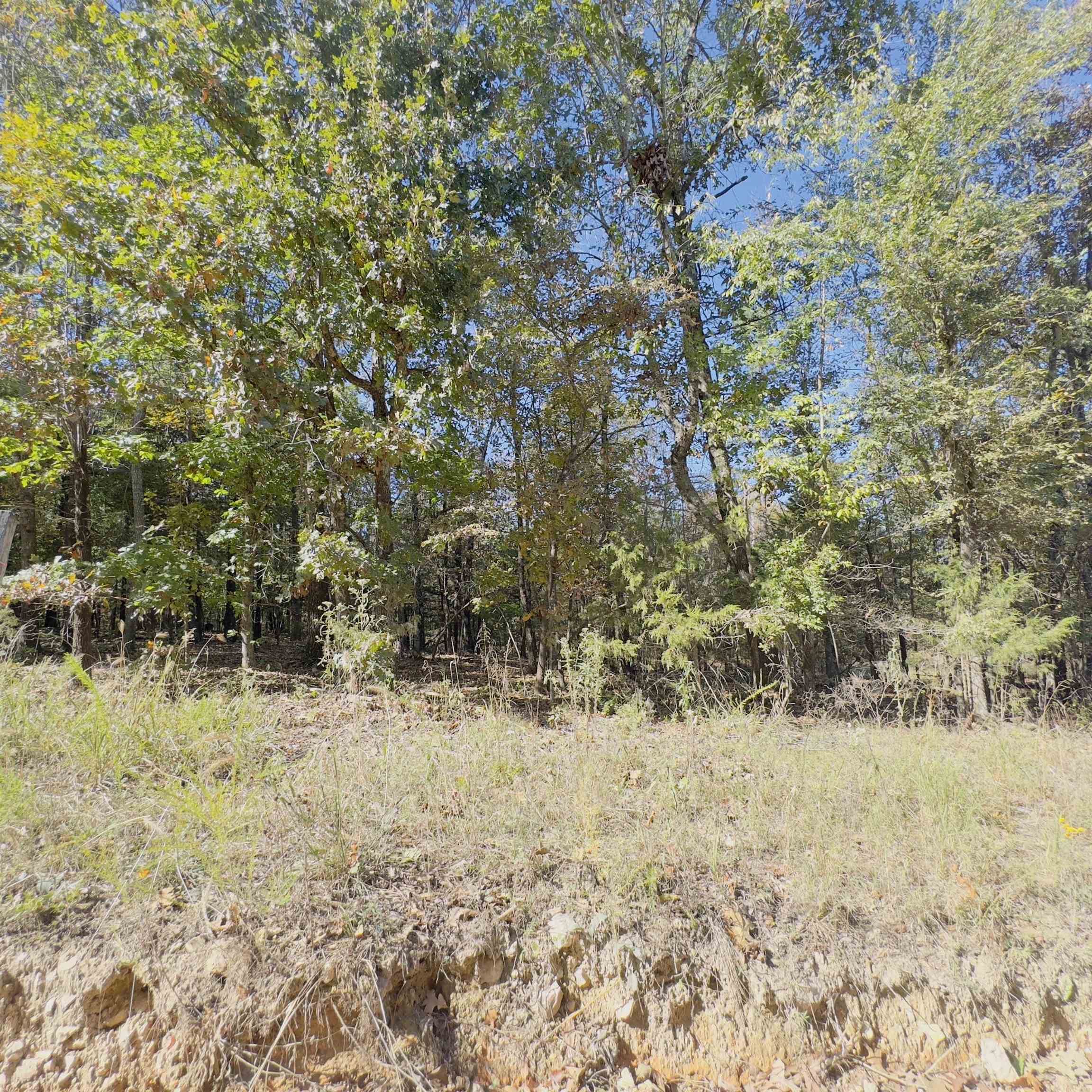 Photo 31 - Residential for sale – 672  Blevins Road   Violet Hill, AR