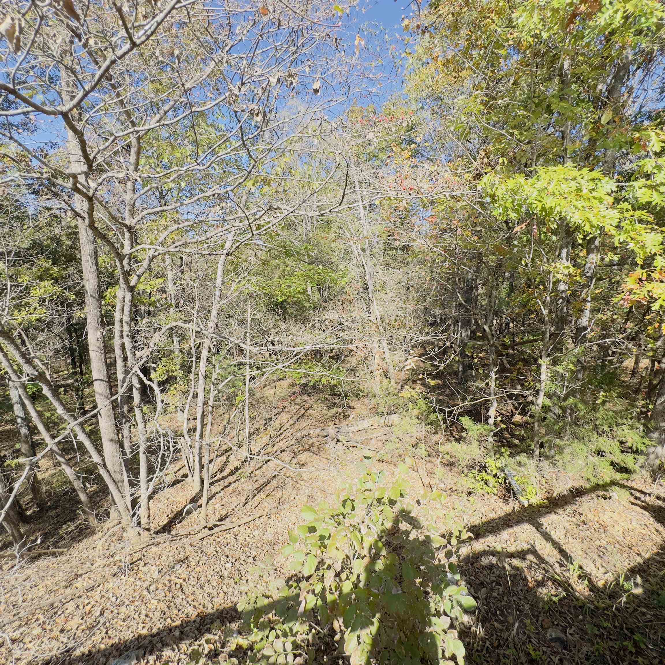 Photo 32 - Residential for sale – 672  Blevins Road   Violet Hill, AR