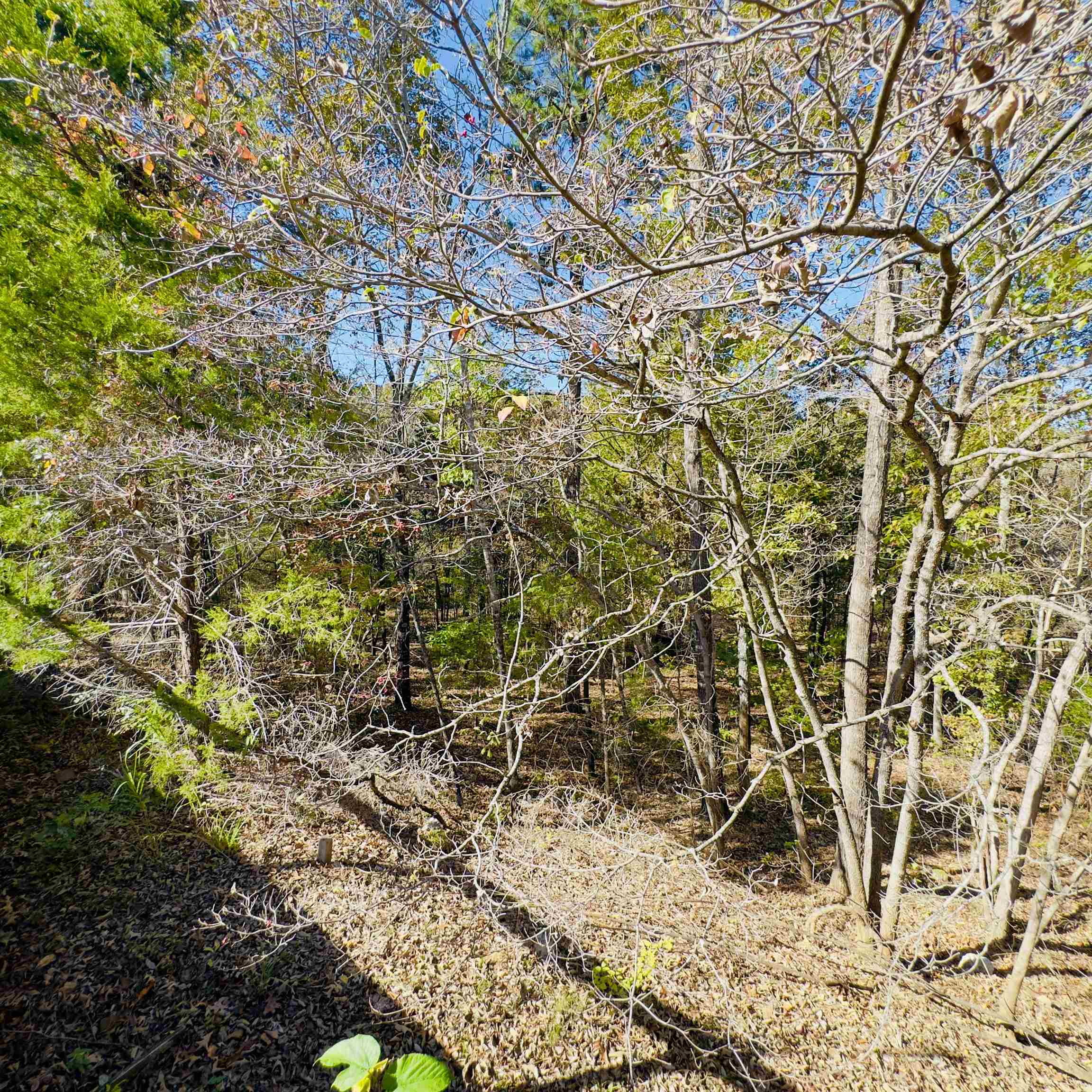 Photo 33 - Residential for sale – 672  Blevins Road   Violet Hill, AR