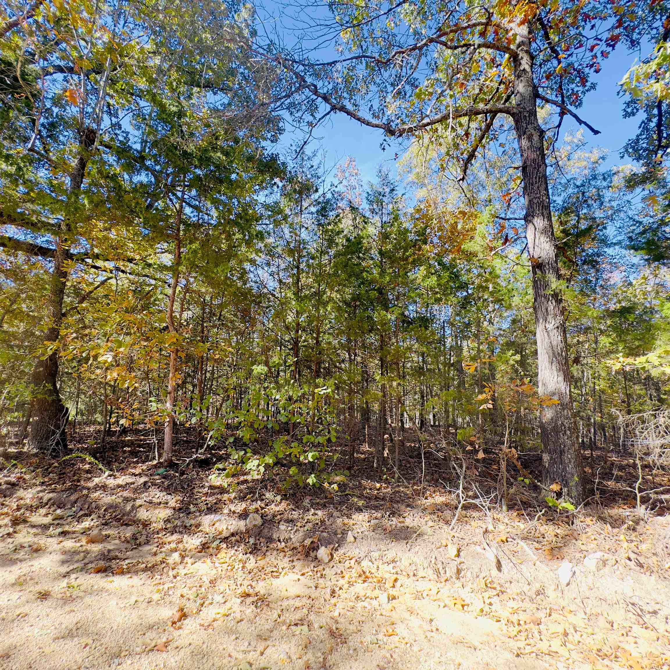 Photo 34 - Residential for sale – 672  Blevins Road   Violet Hill, AR