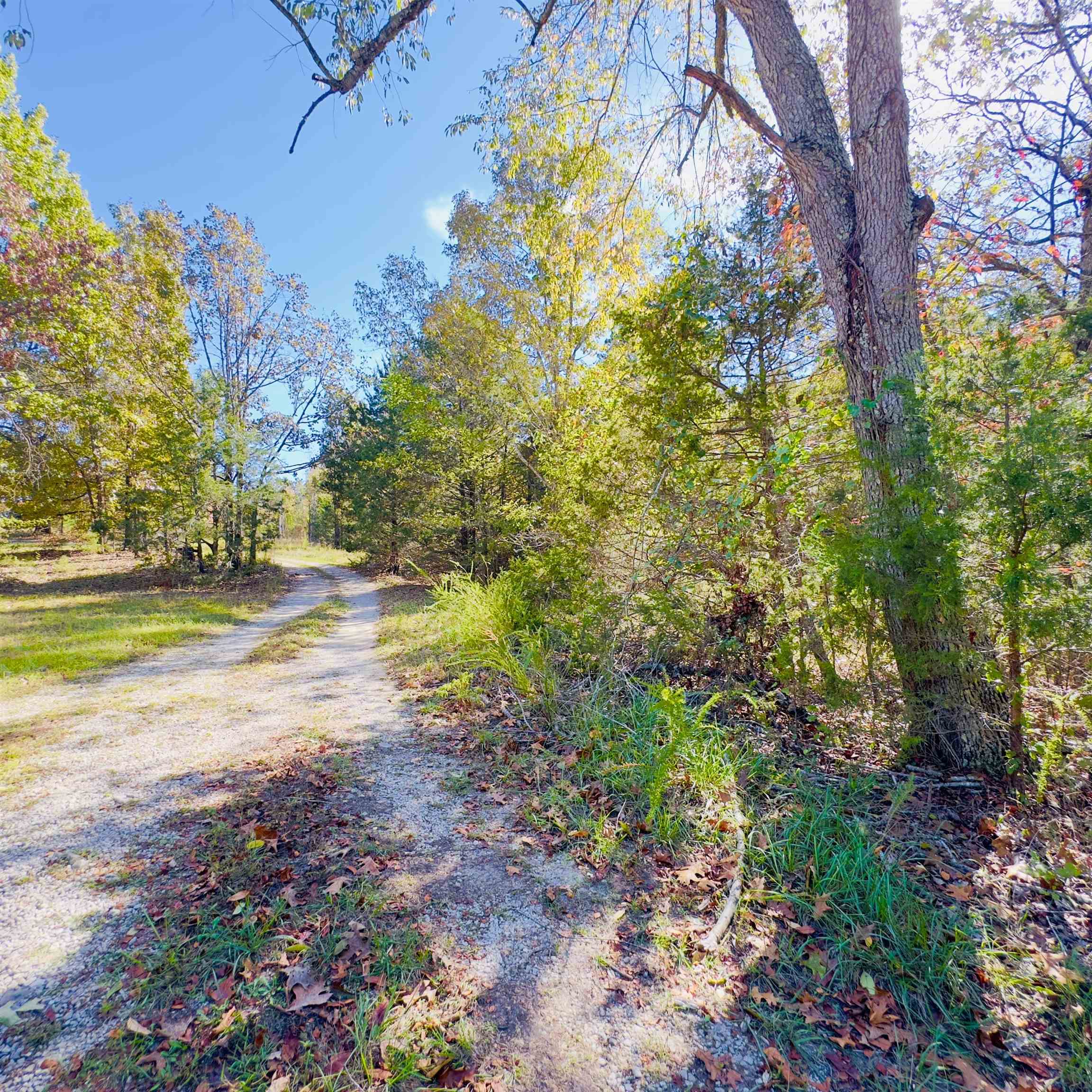 Photo 37 - Residential for sale – 672  Blevins Road   Violet Hill, AR