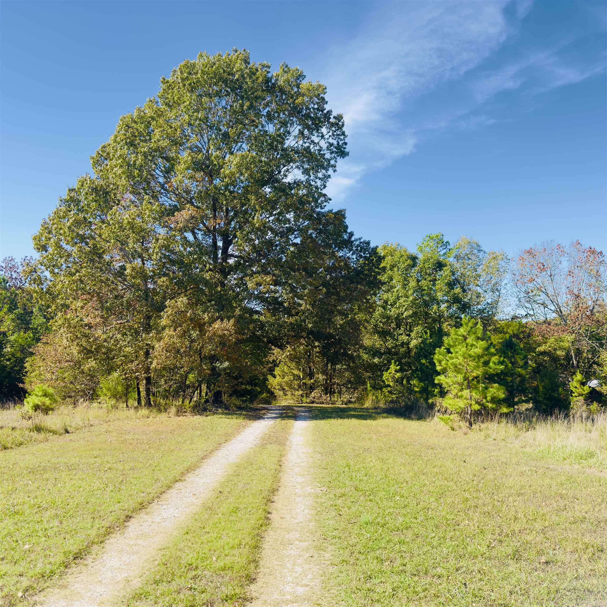 Photo 39 - Residential for sale – 672  Blevins Road   Violet Hill, AR