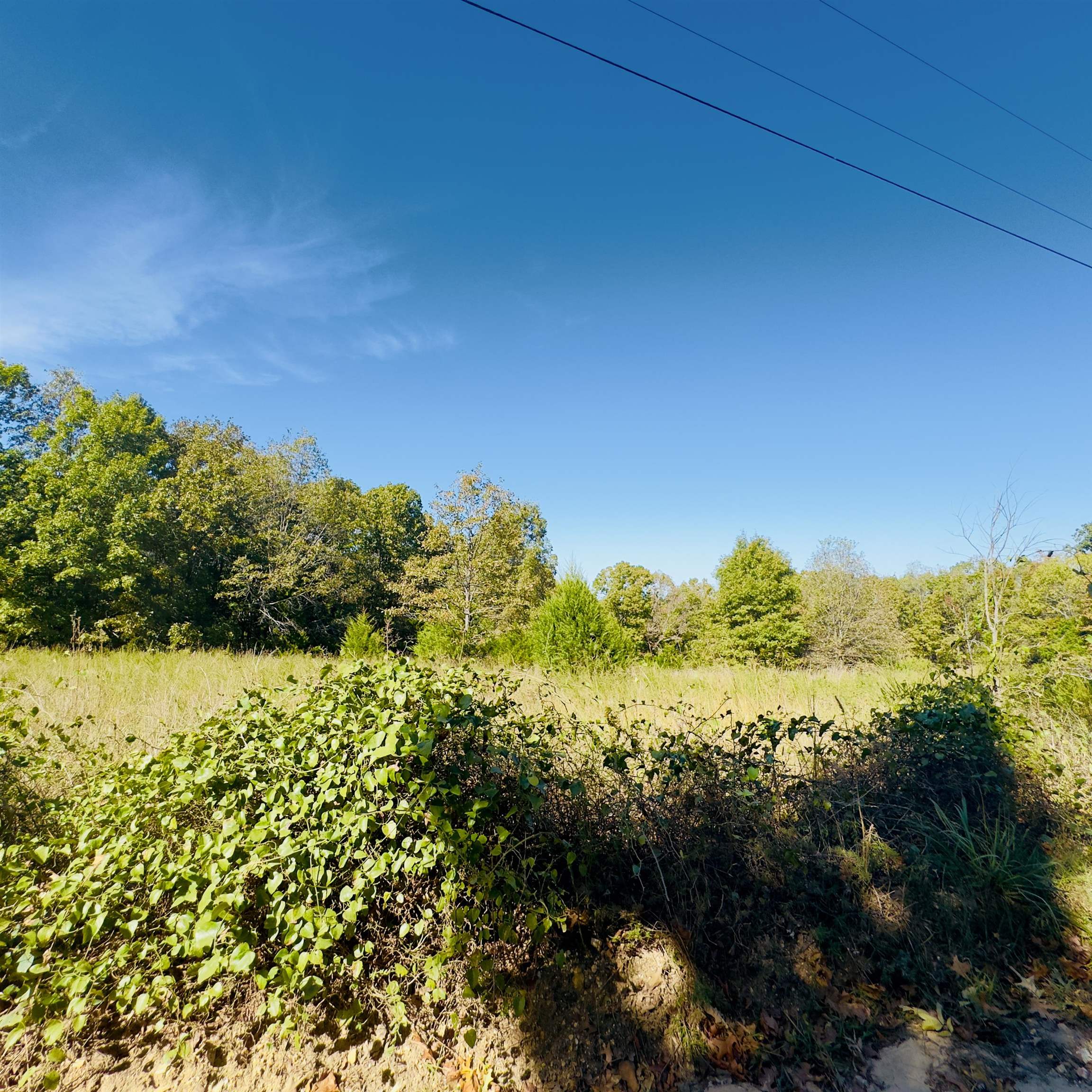 Photo 5 - Residential for sale – 672  Blevins Road   Violet Hill, AR