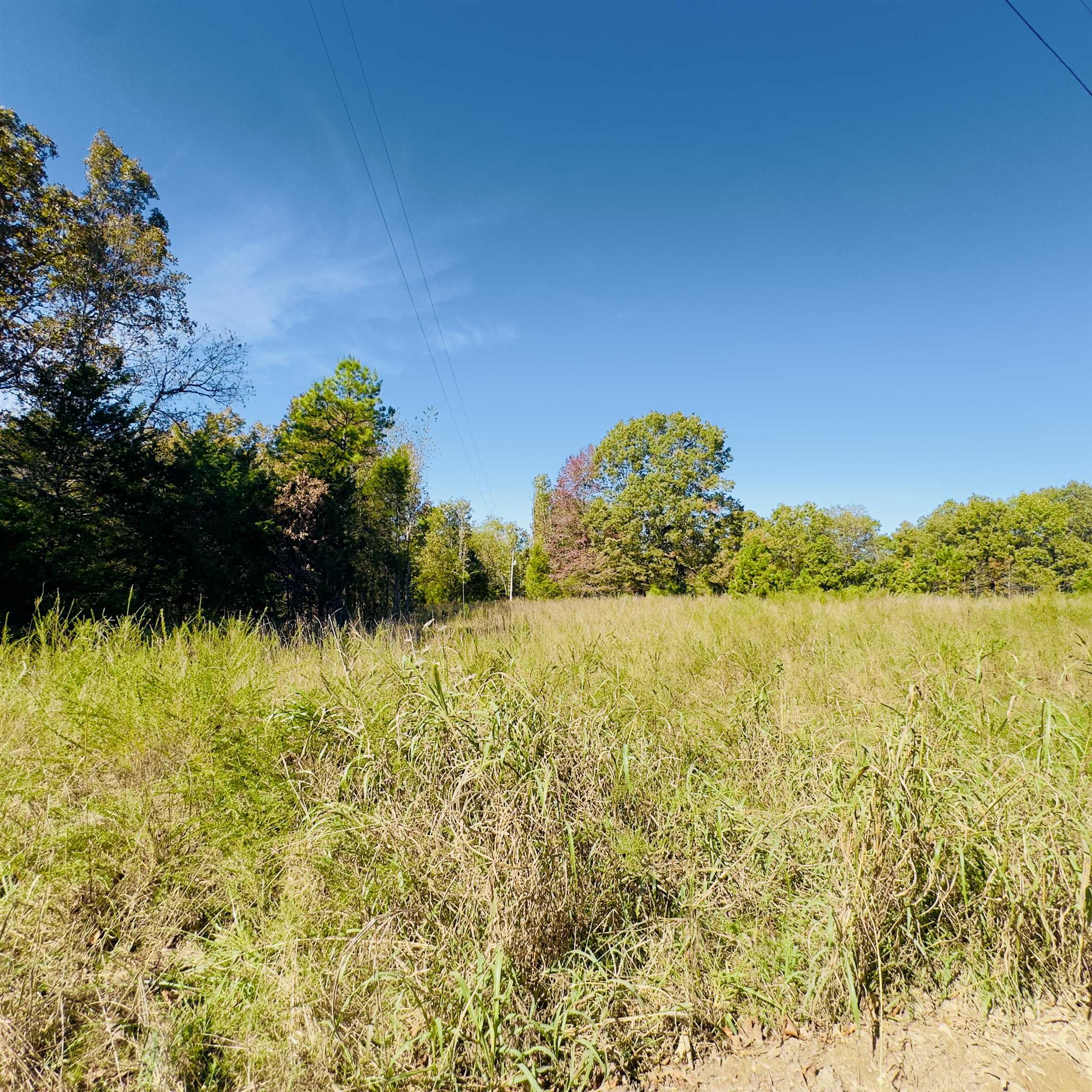 Photo 6 - Residential for sale – 672  Blevins Road   Violet Hill, AR