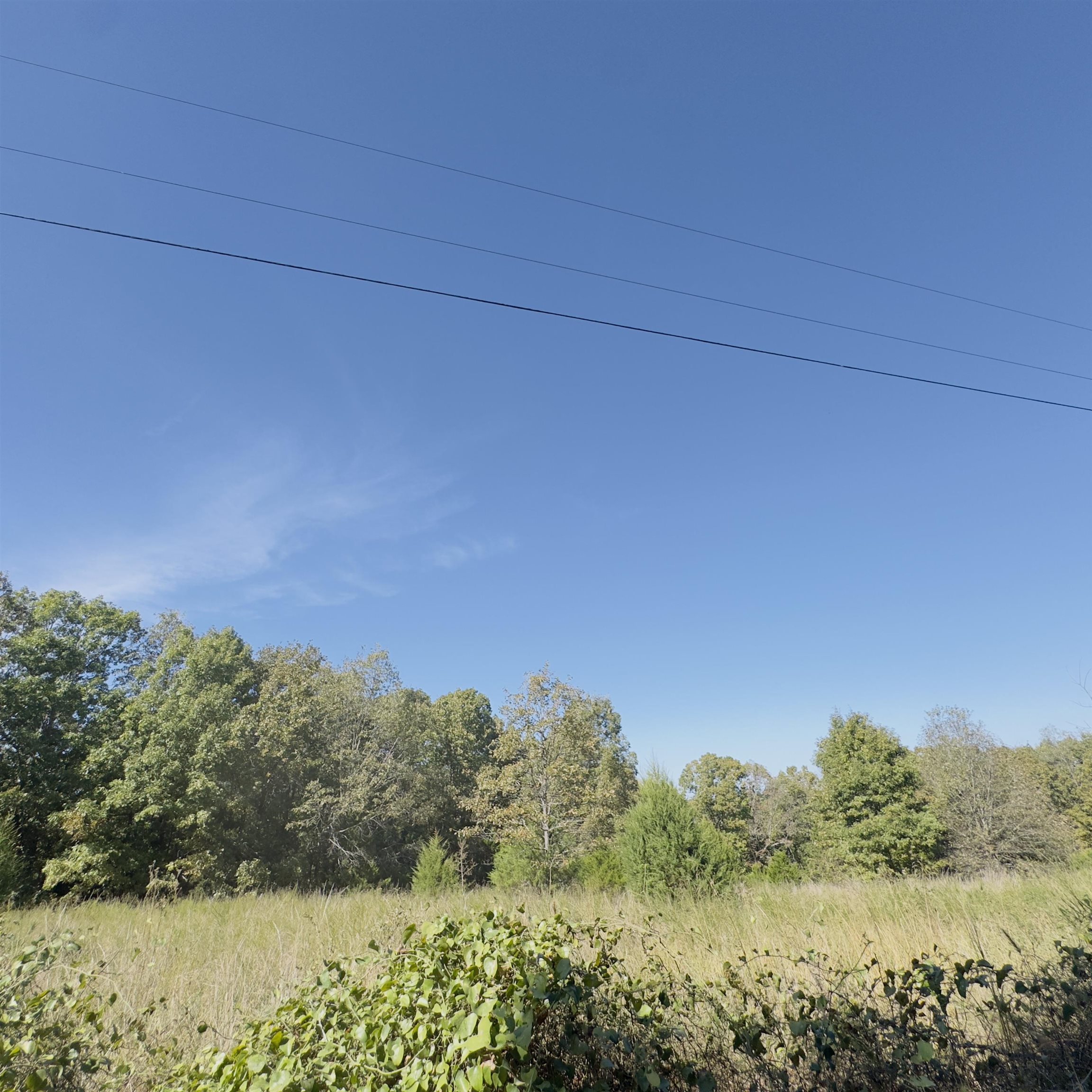 Photo 7 - Residential for sale – 672  Blevins Road   Violet Hill, AR