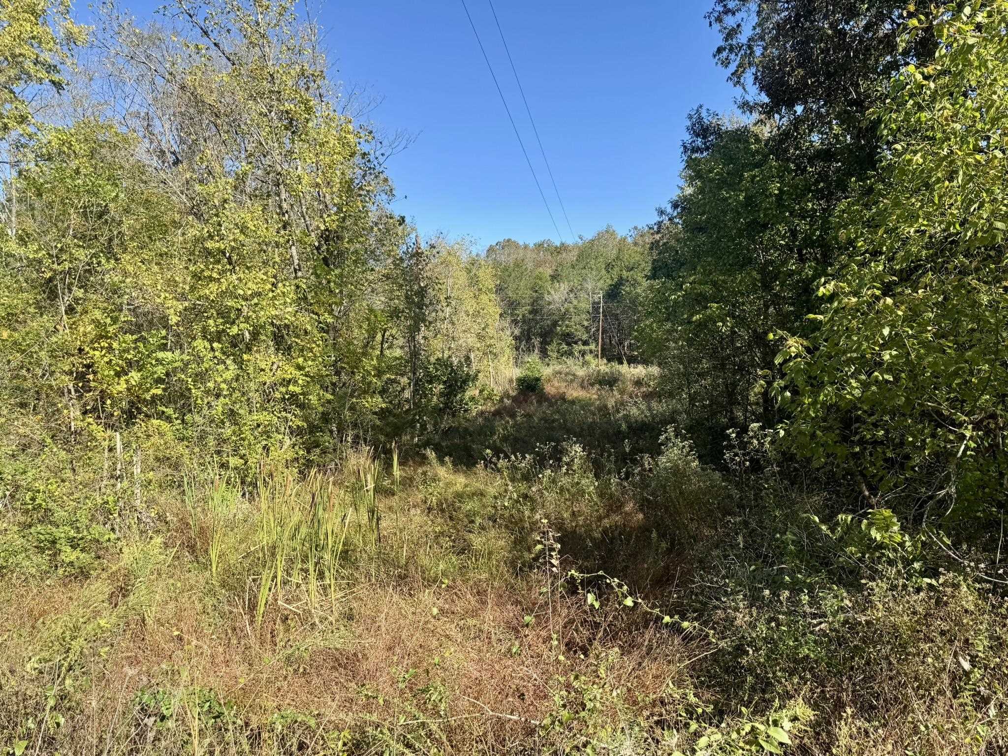 Vacant Land for sale – 4.5A  Honeysuckle Lane   Franklin, AR