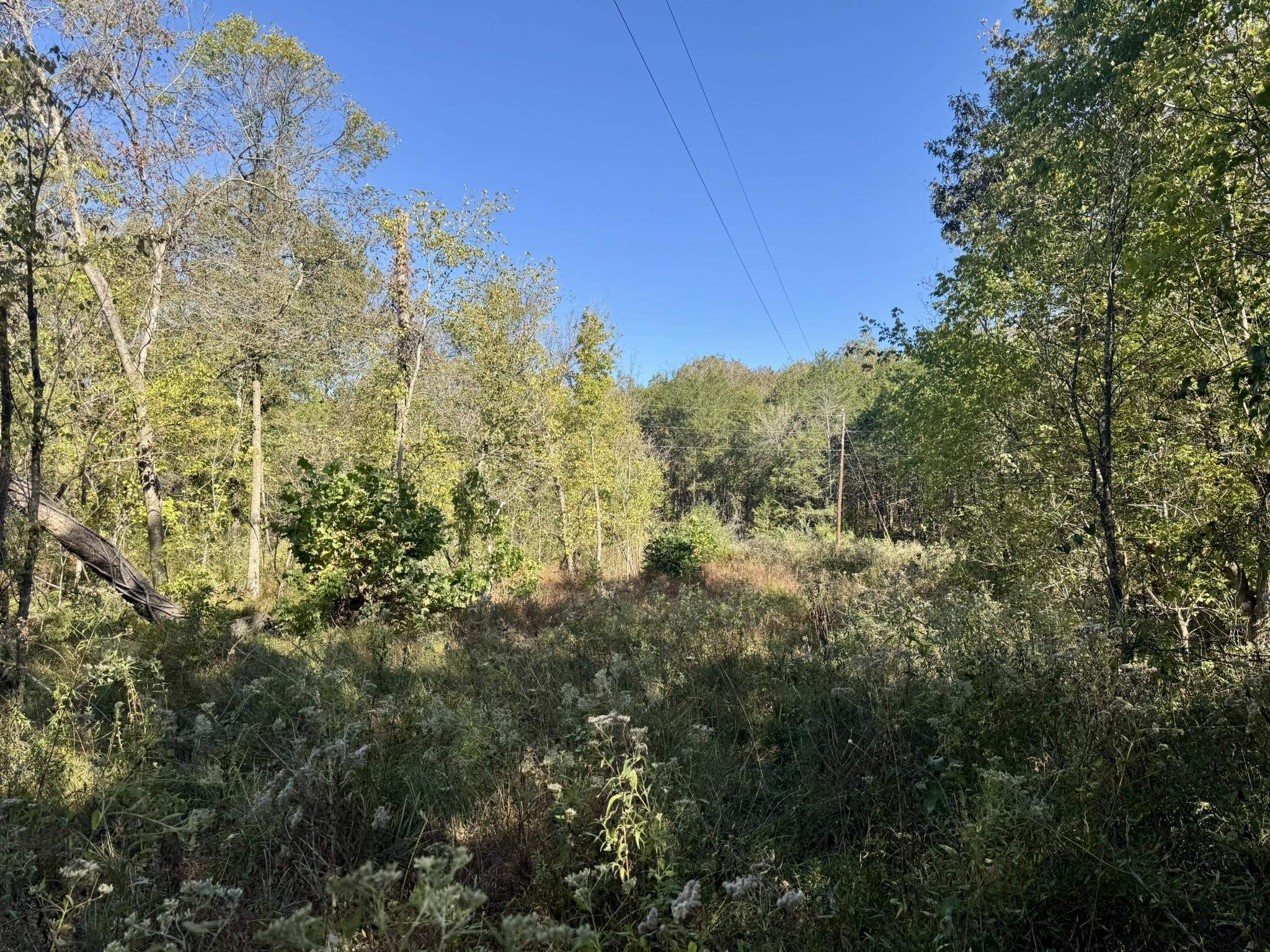 Photo 2 - Vacant Land for sale – 4.5A  Honeysuckle Lane   Franklin, AR