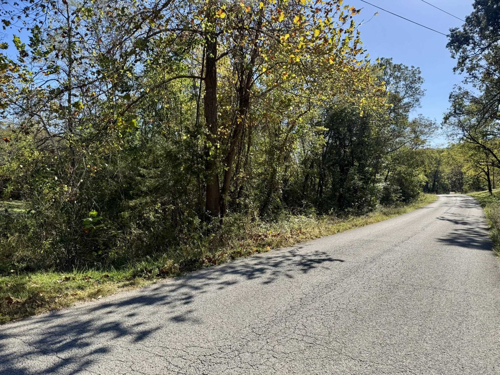 Photo 6 - Vacant Land for sale – 4.5A  Honeysuckle Lane   Franklin, AR