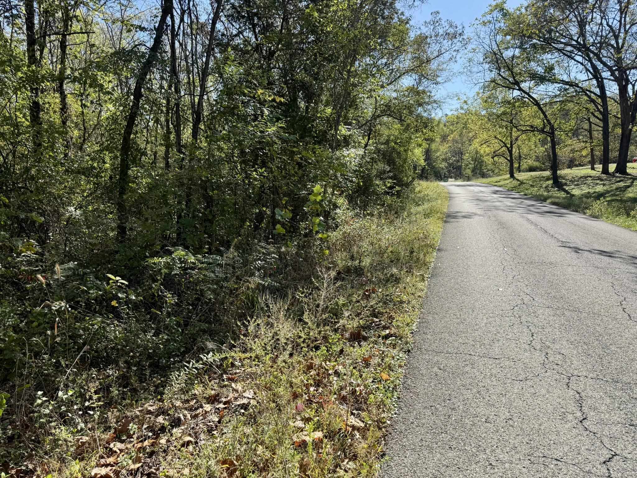 Photo 7 - Vacant Land for sale – 4.5A  Honeysuckle Lane   Franklin, AR