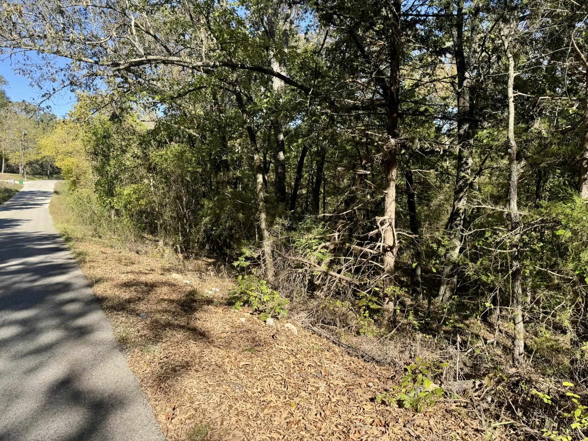 Photo 8 - Vacant Land for sale – 4.5A  Honeysuckle Lane   Franklin, AR