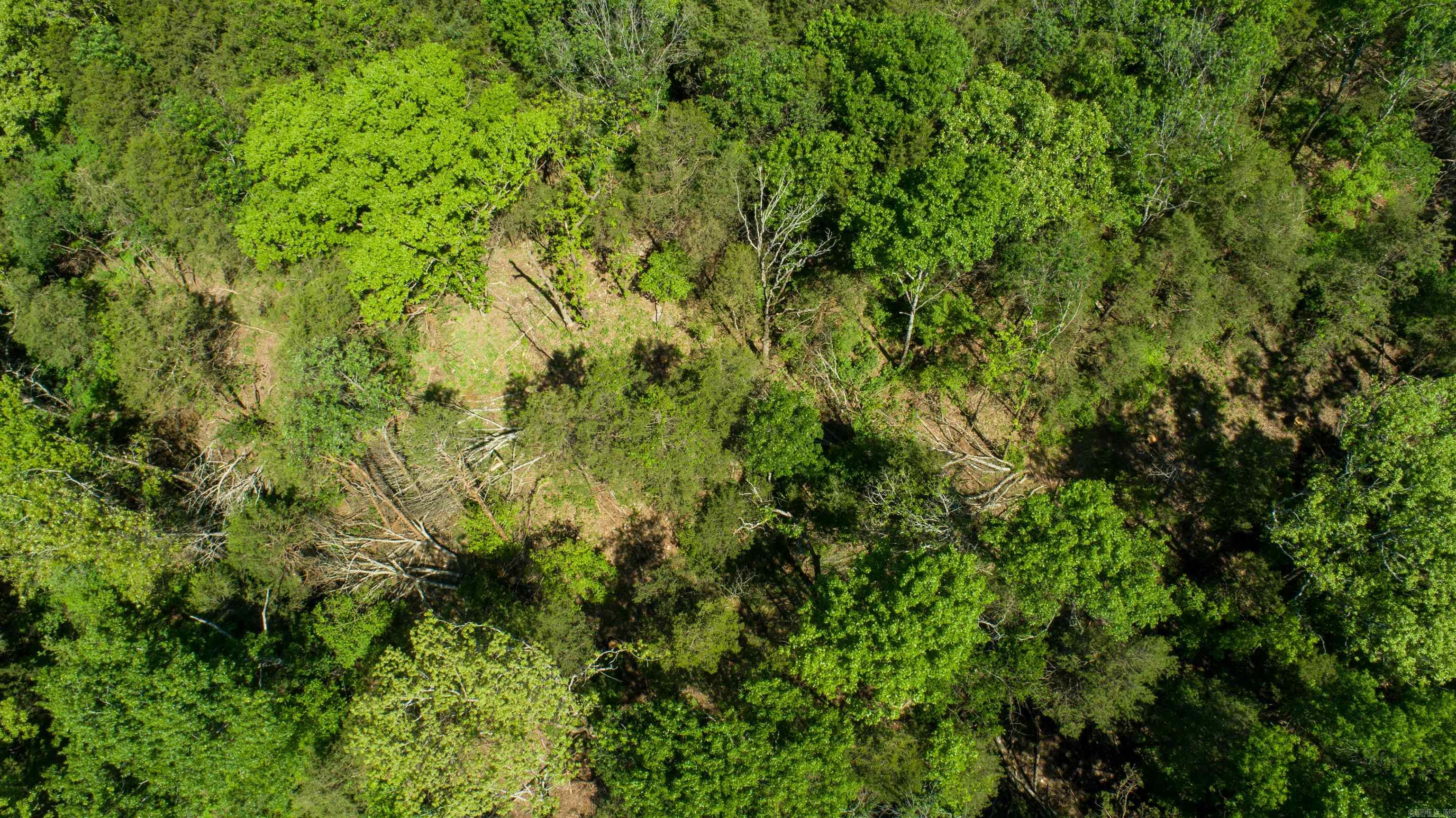 Photo 13 - Vacant Land for sale – 998  Mill Creek Road   Poughkeepsie, AR