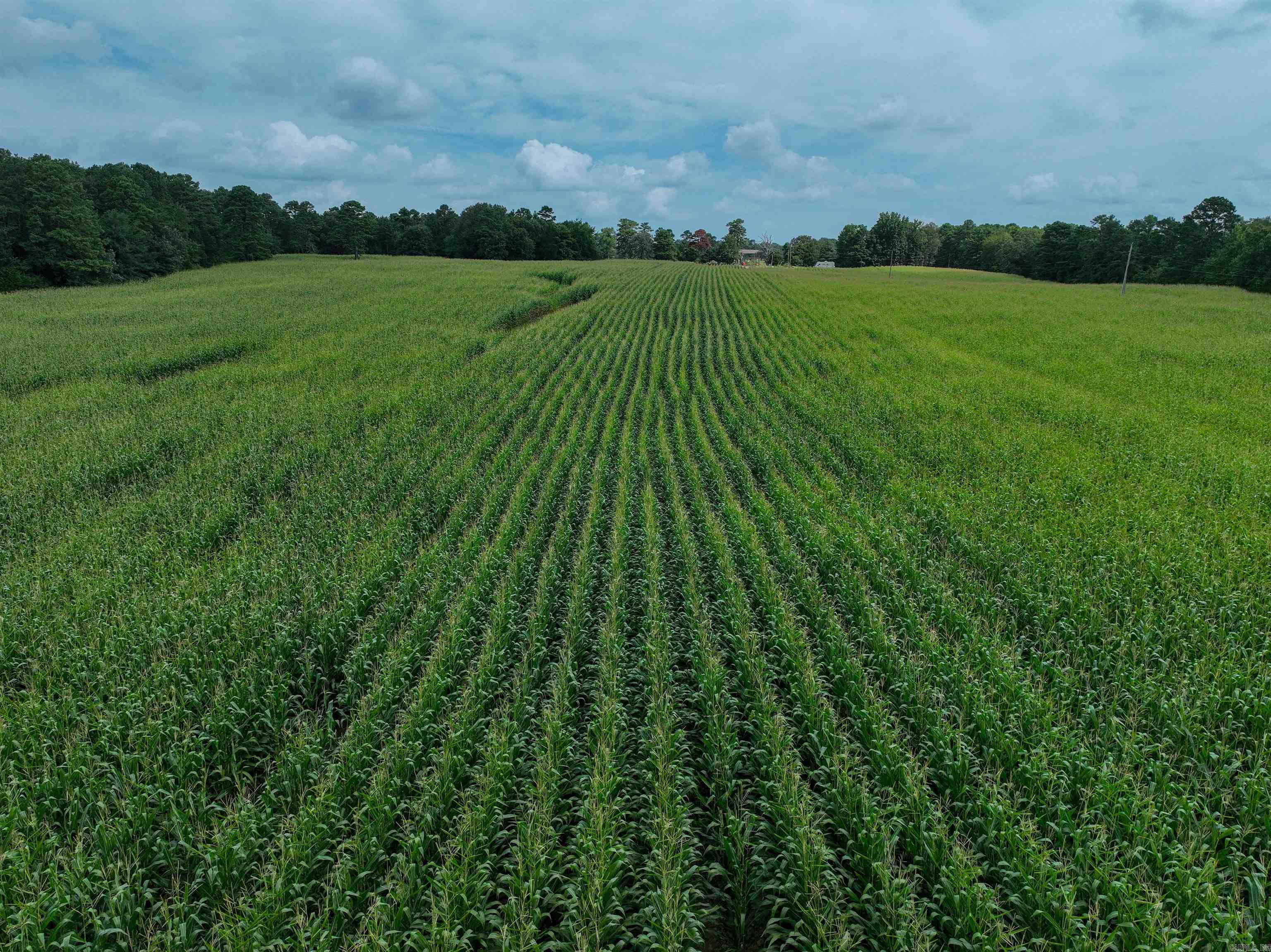 Photo 30 - Residential for sale – 548  Cornerstone   Pleasant Plains, AR