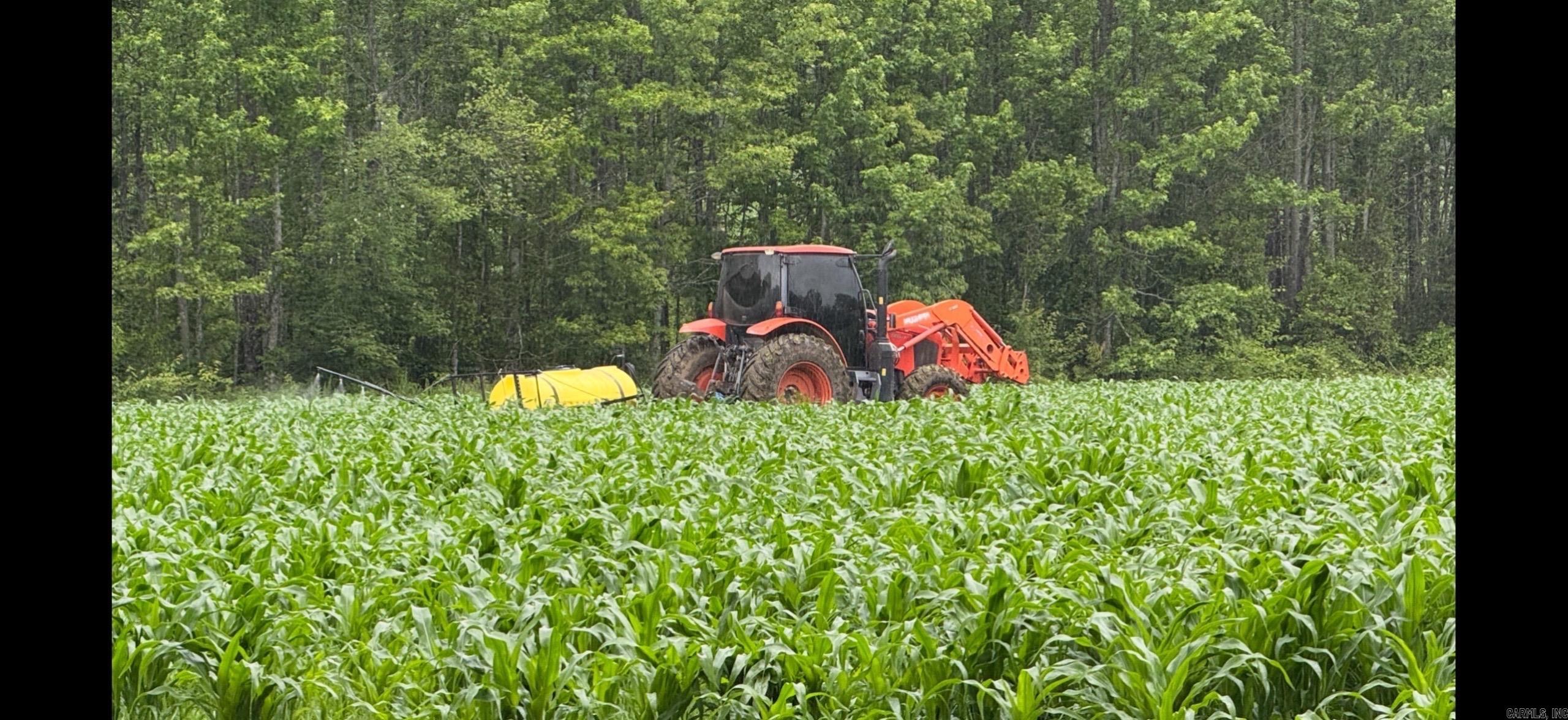 Photo 4 - Residential for sale – 548  Cornerstone   Pleasant Plains, AR