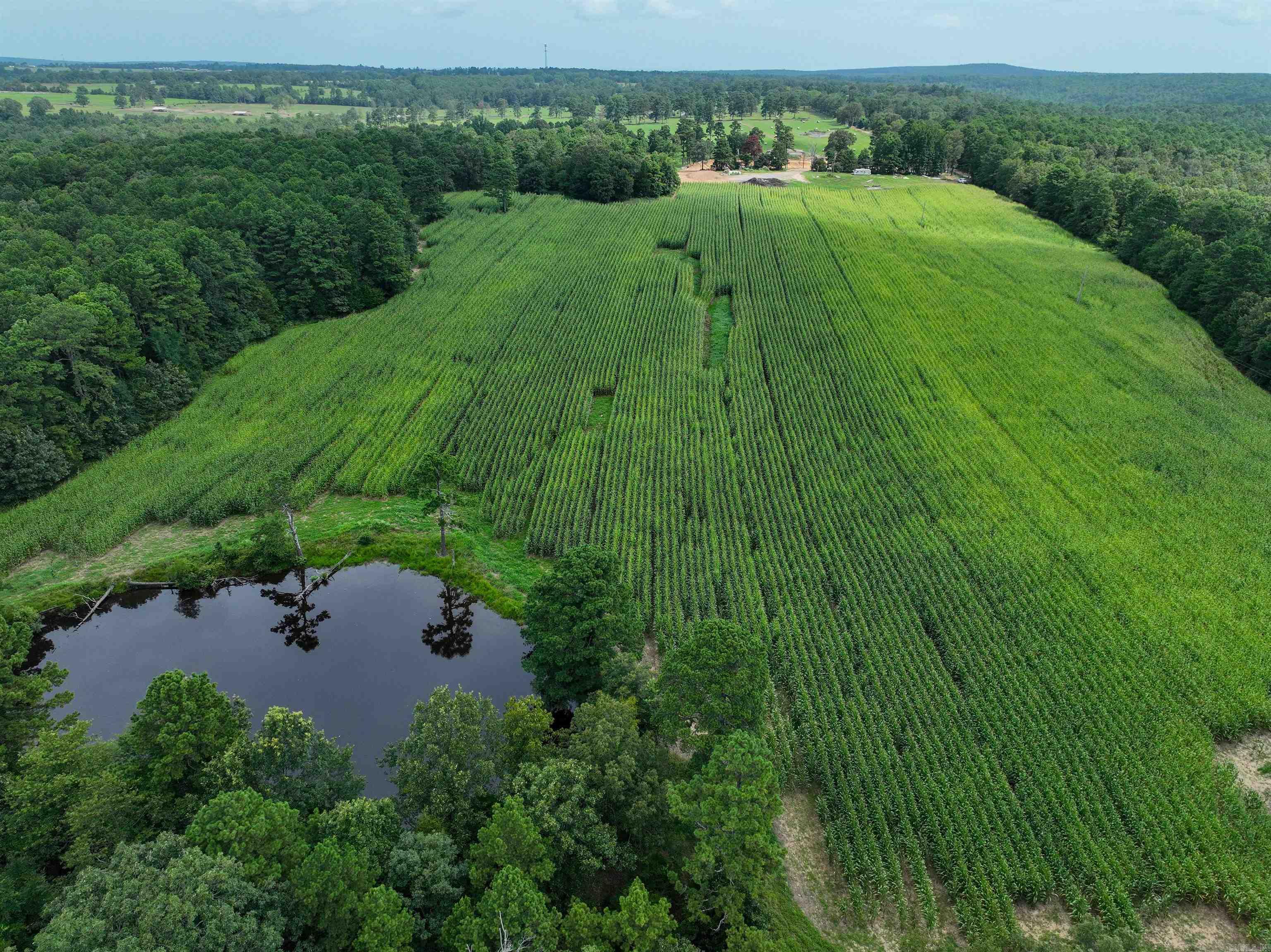 Photo 31 - Residential for sale – 548  Cornerstone   Pleasant Plains, AR