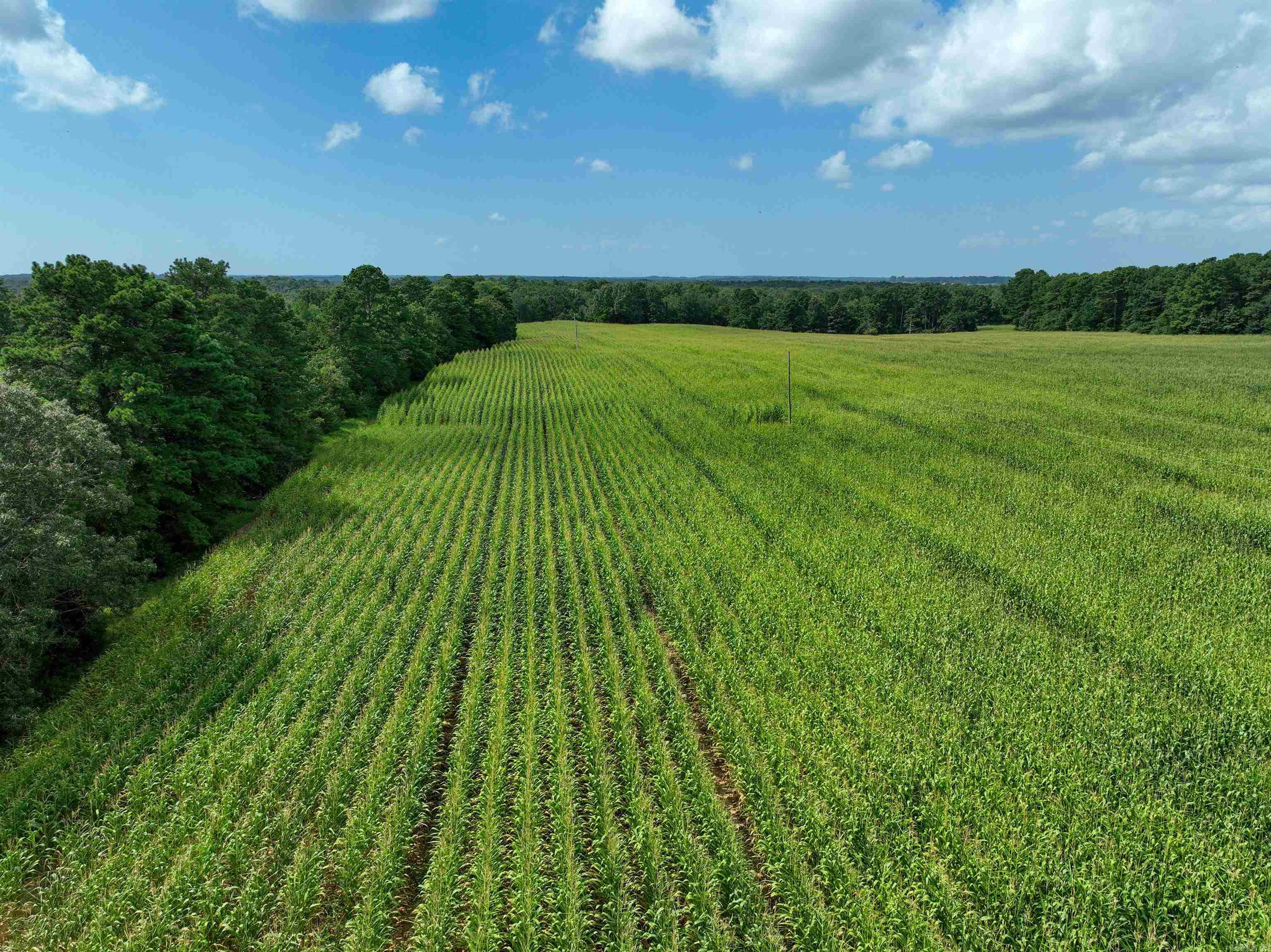 Photo 32 - Residential for sale – 548  Cornerstone   Pleasant Plains, AR