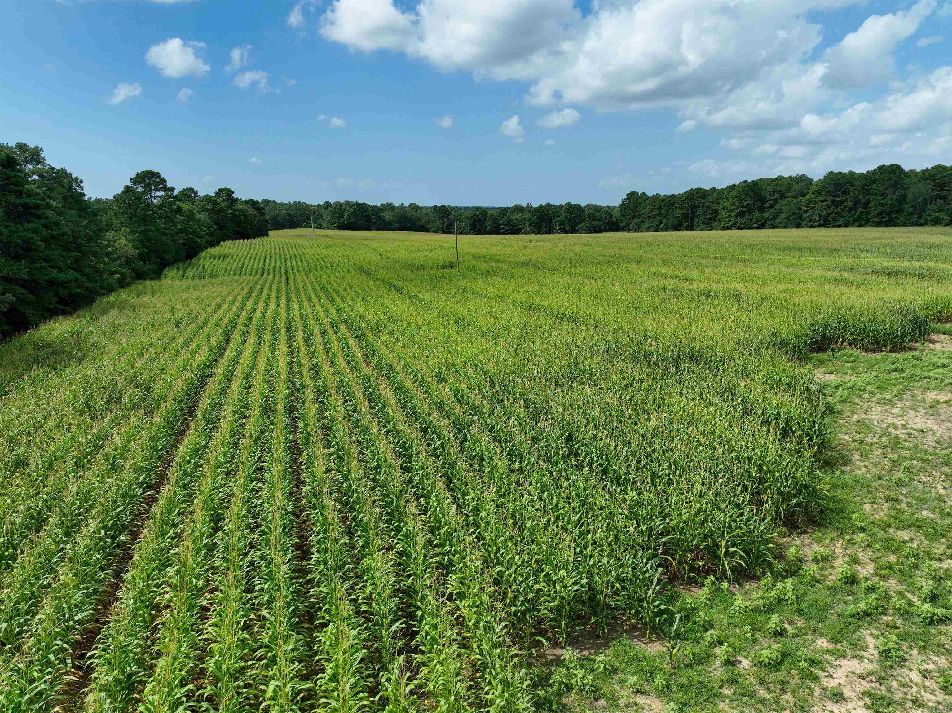 Photo 35 - Residential for sale – 548  Cornerstone   Pleasant Plains, AR