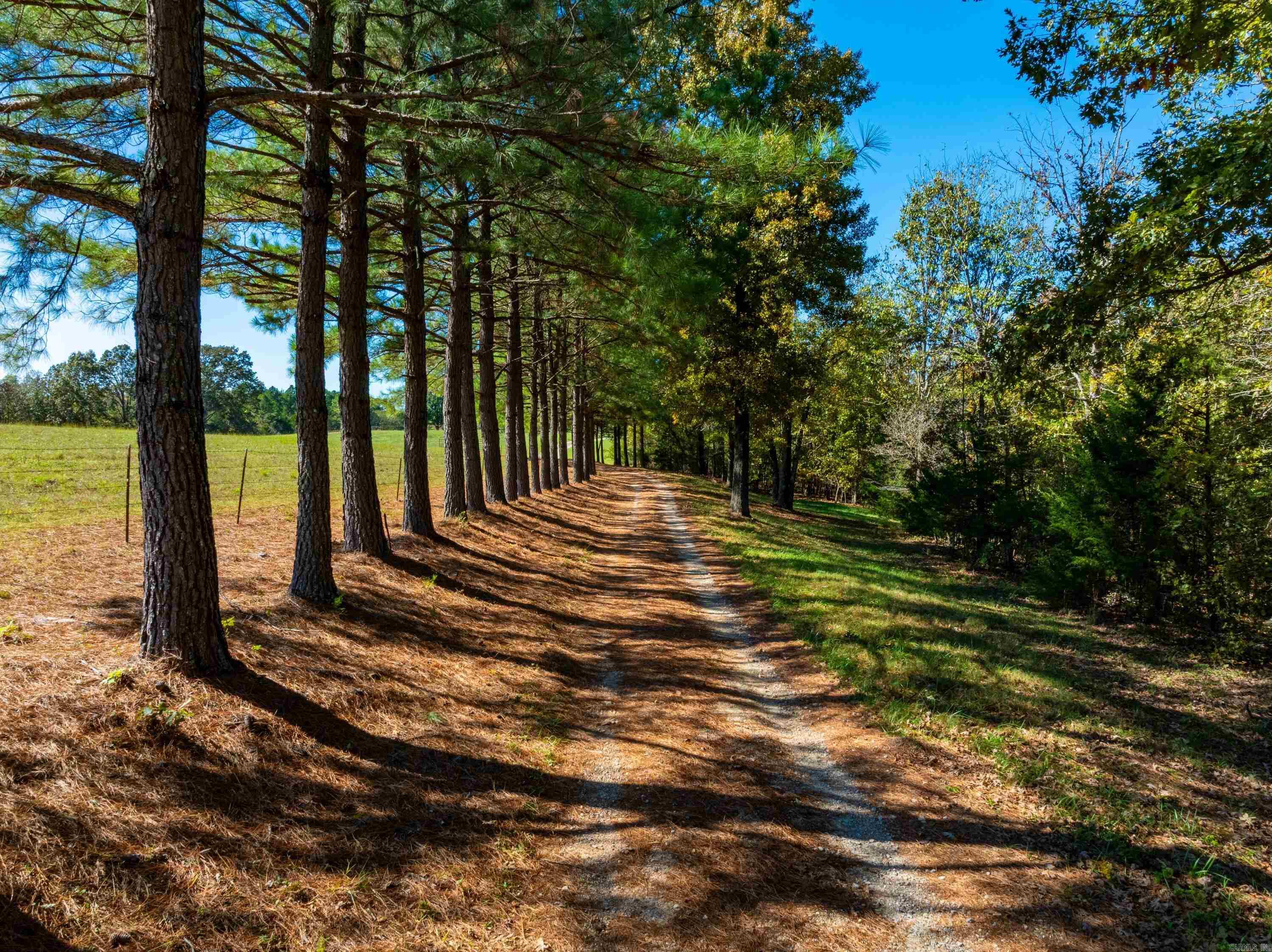 Photo 3 - Residential for sale – 1742  Flora Church Trl   Viola, AR