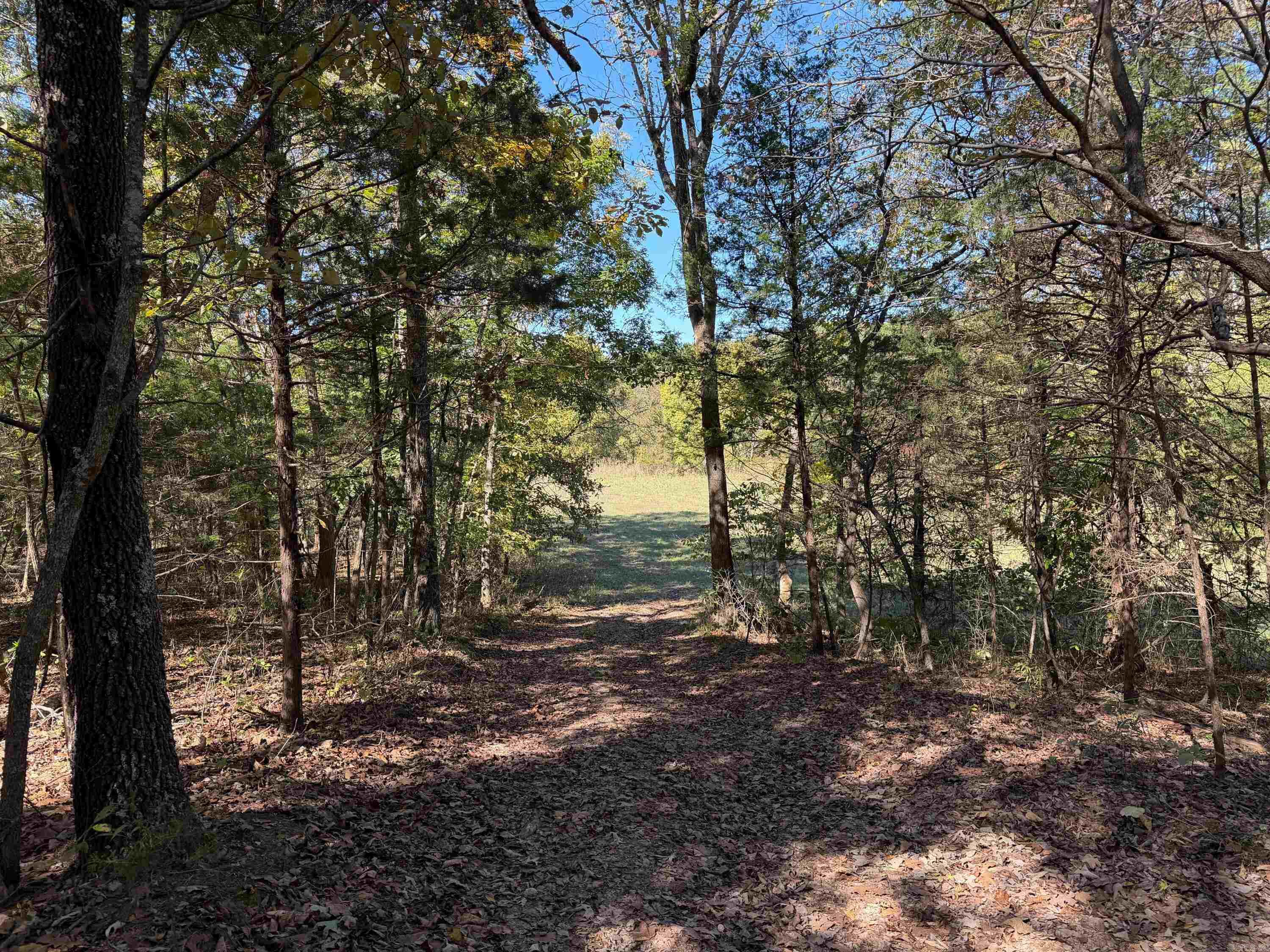 Photo 35 - Residential for sale – 1742  Flora Church Trl   Viola, AR