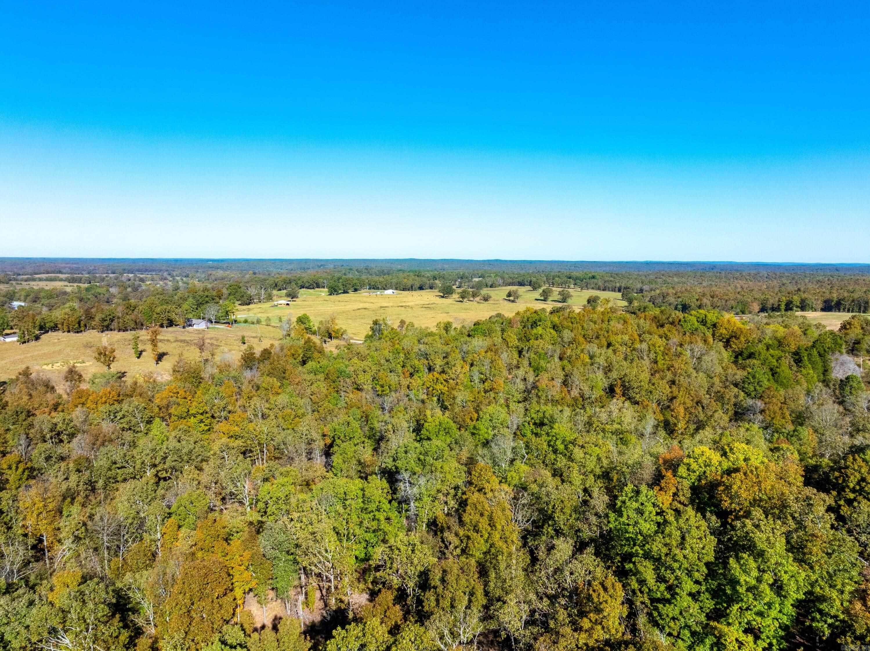 Photo 2 - Vacant Land for sale – 1670  Needmore   Sidney, AR