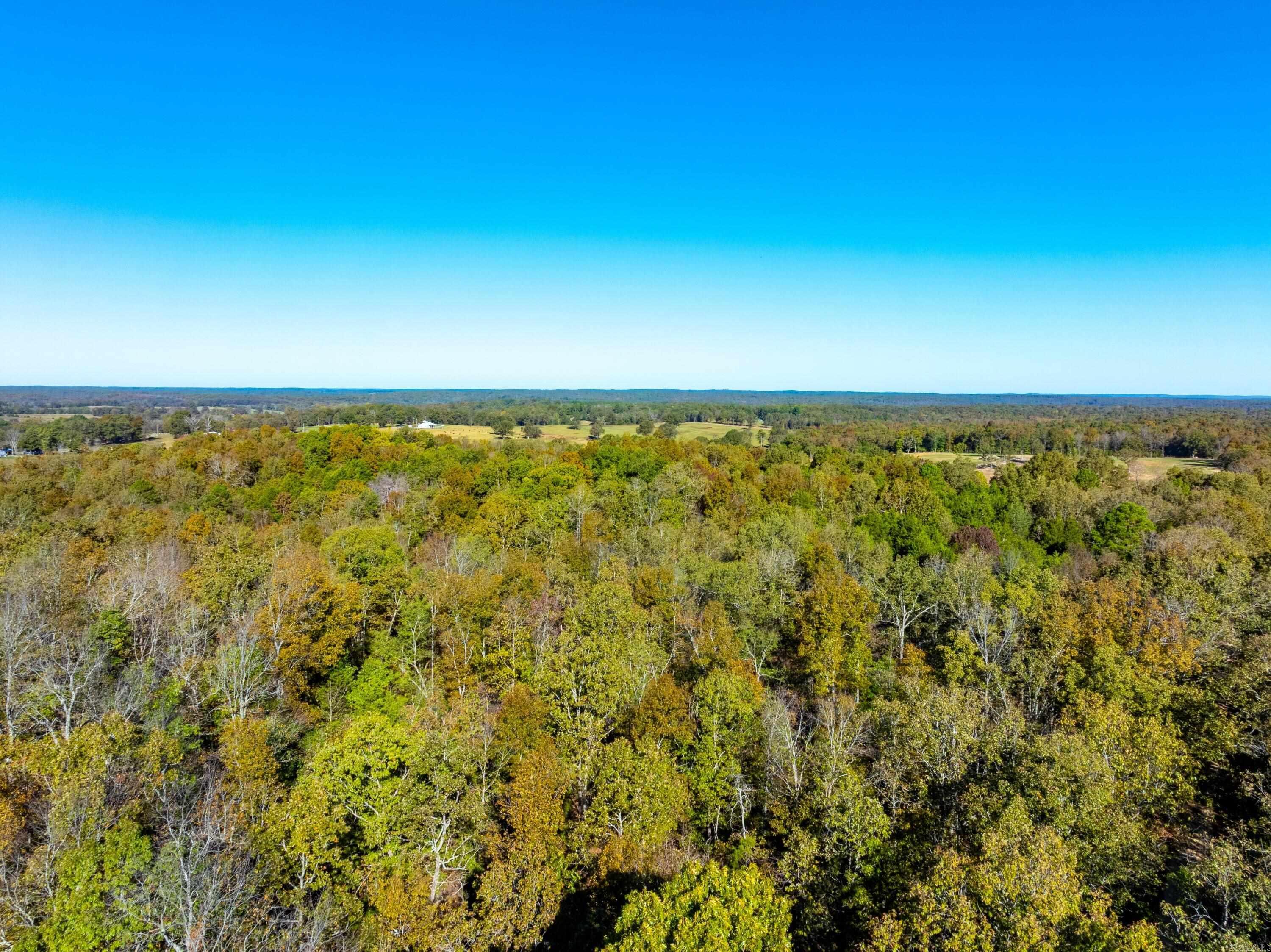 Photo 12 - Vacant Land for sale – 1670  Needmore   Sidney, AR