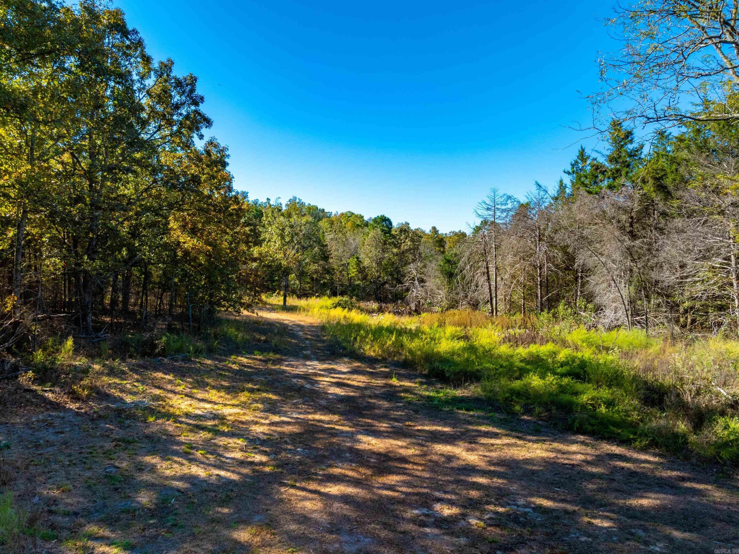 Photo 15 - Vacant Land for sale – 1670  Needmore   Sidney, AR