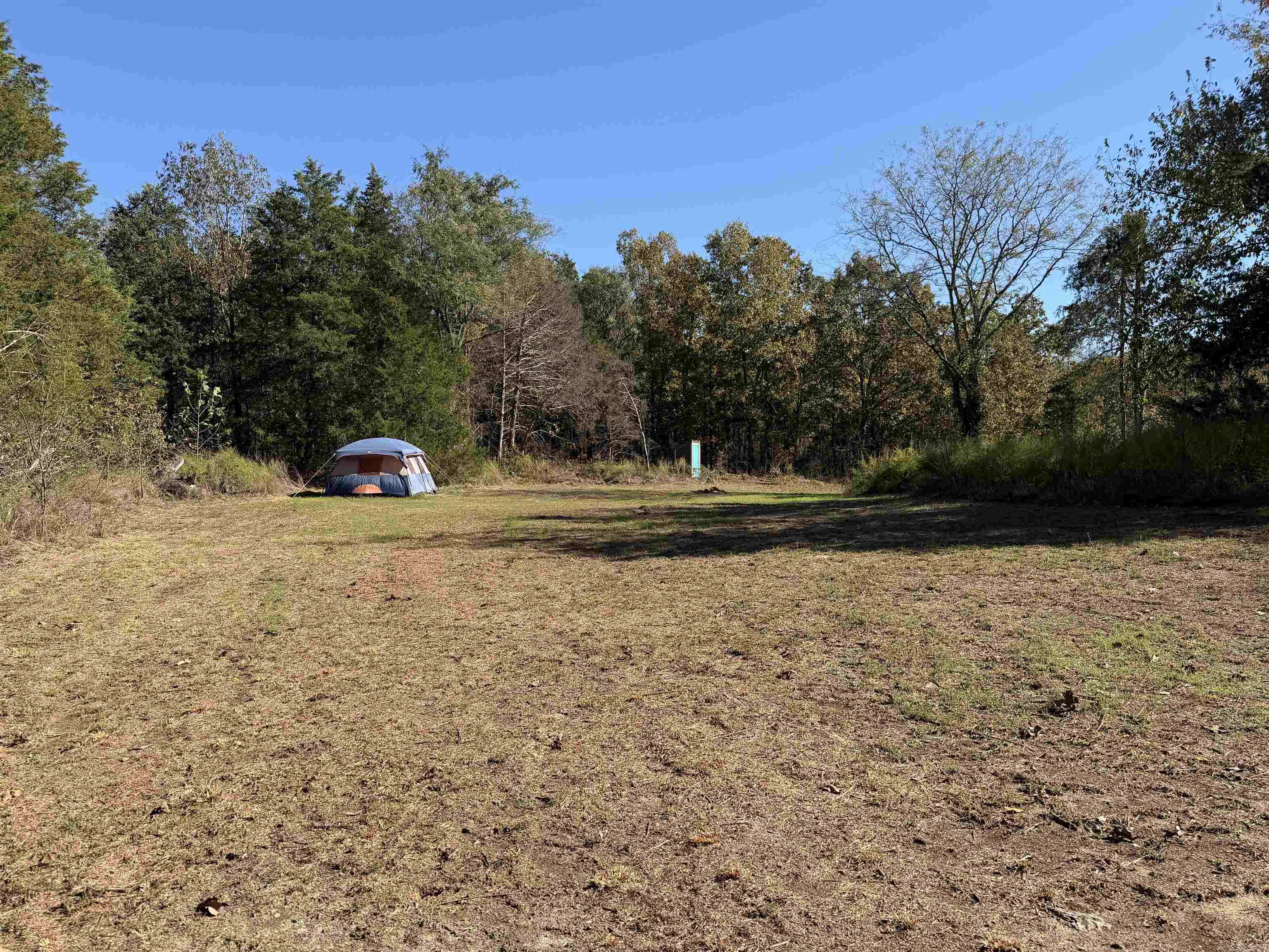 Photo 3 - Vacant Land for sale – 1670  Needmore   Sidney, AR