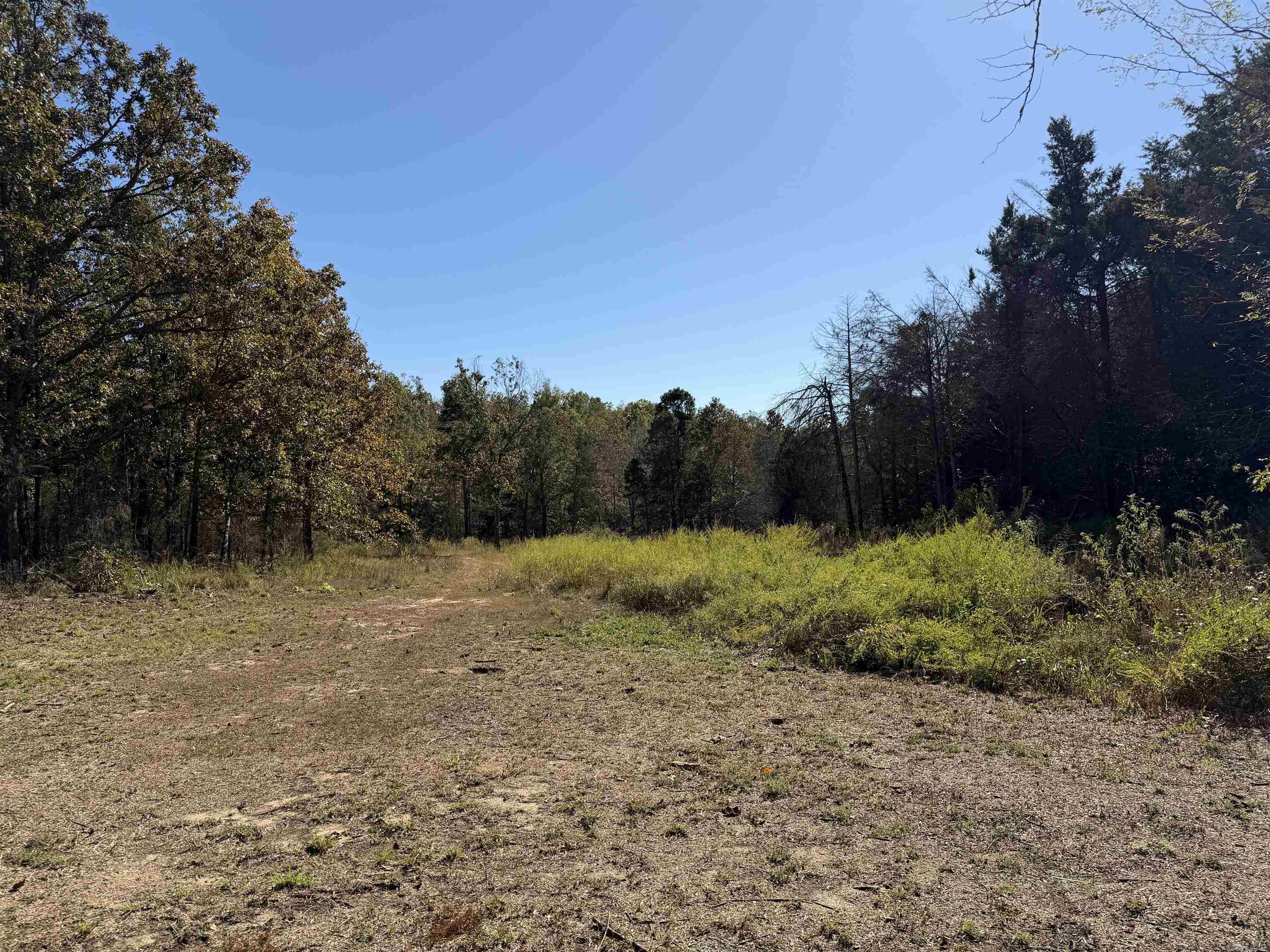 Photo 6 - Vacant Land for sale – 1670  Needmore   Sidney, AR