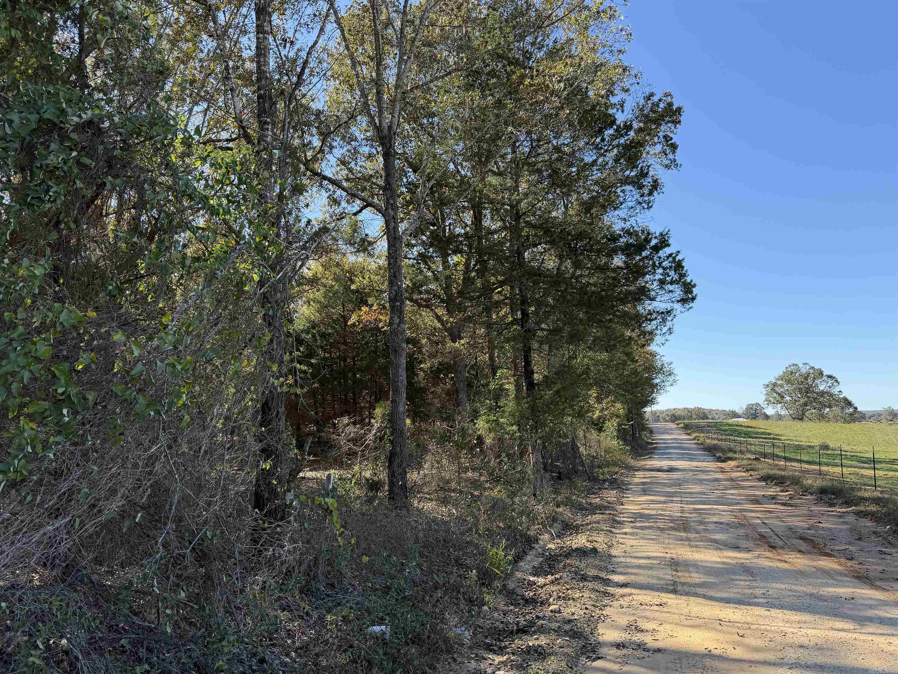 Photo 7 - Vacant Land for sale – 1670  Needmore   Sidney, AR