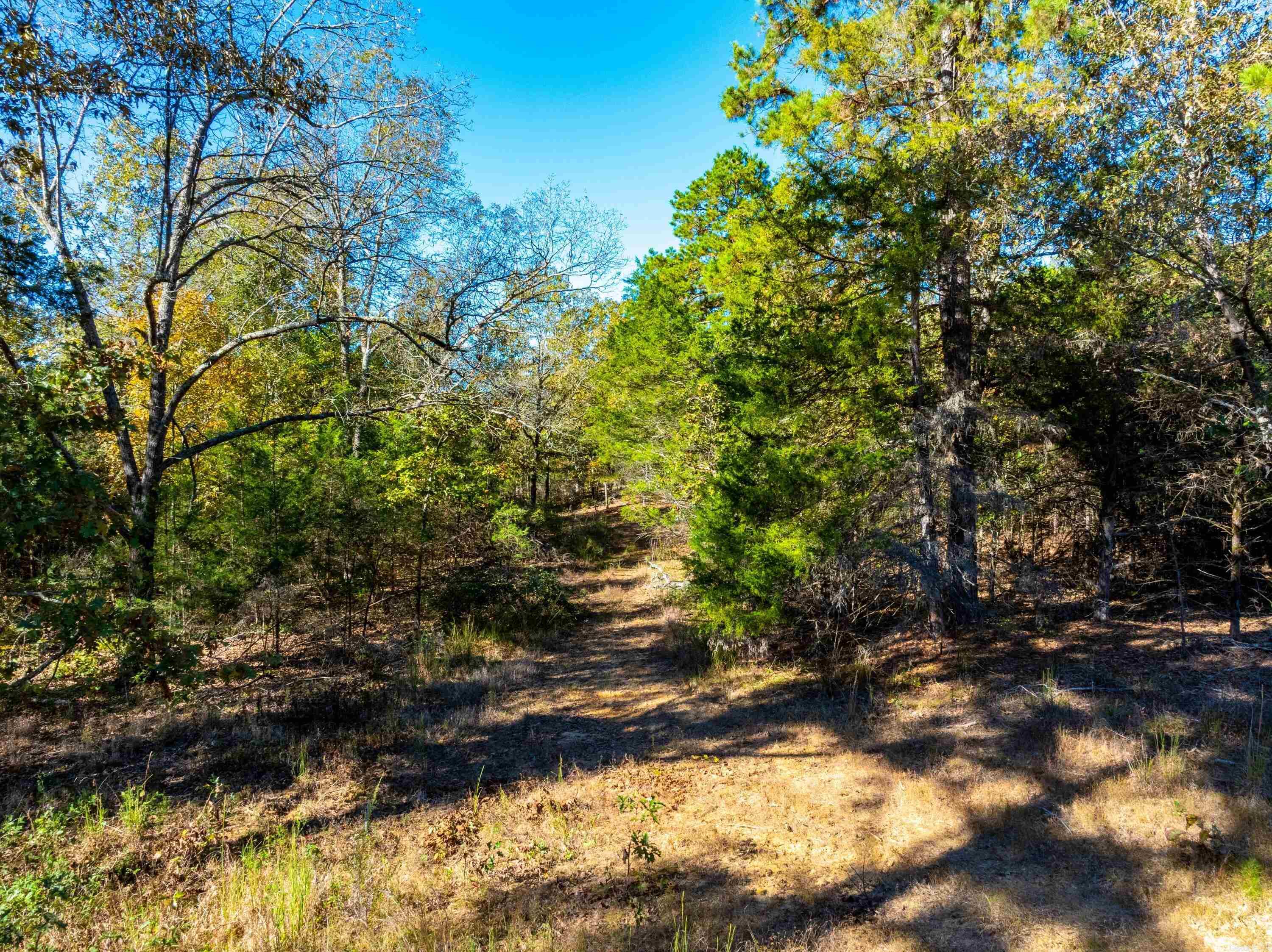 Photo 8 - Vacant Land for sale – 1670  Needmore   Sidney, AR