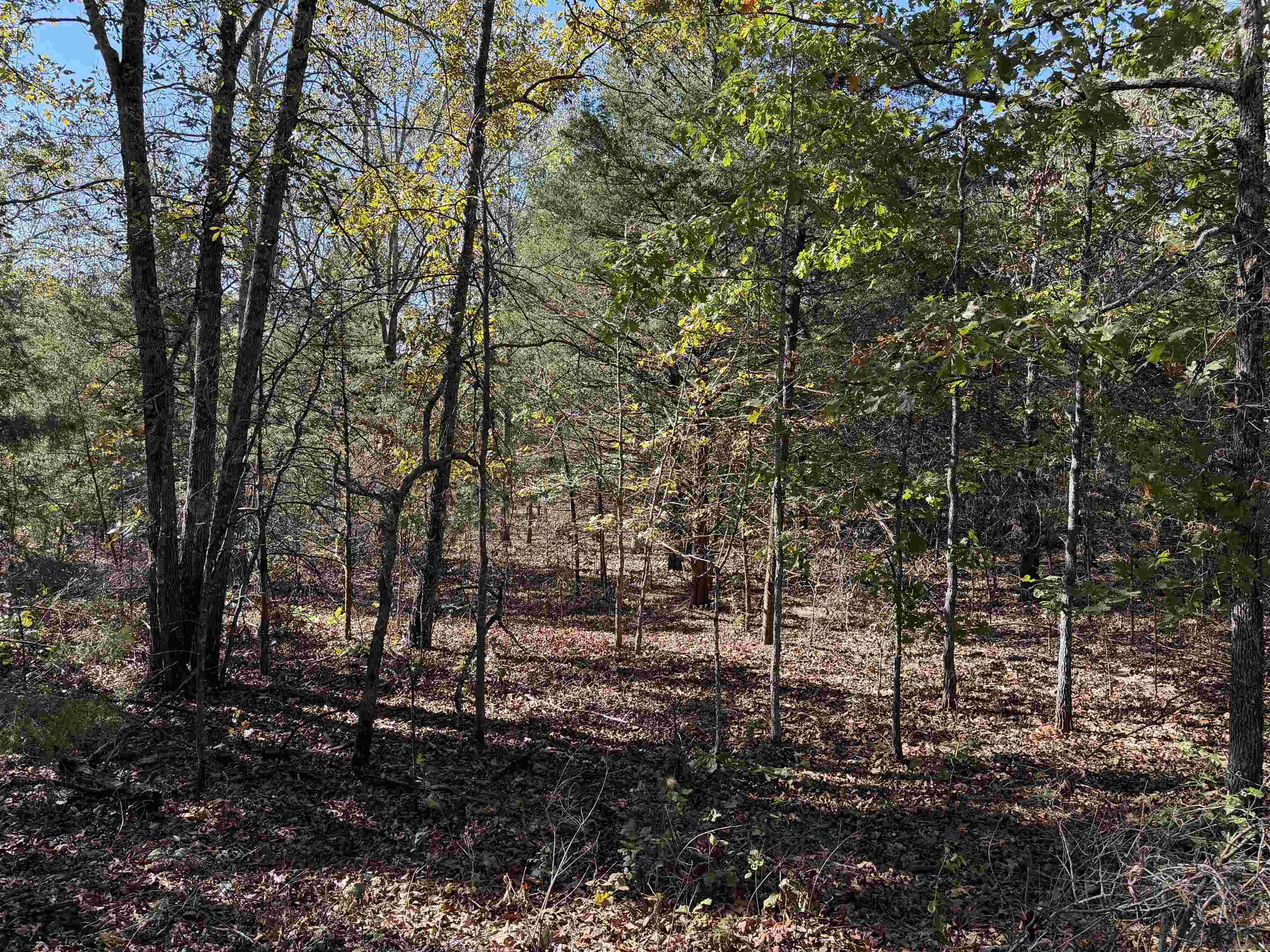 Photo 9 - Vacant Land for sale – 1670  Needmore   Sidney, AR