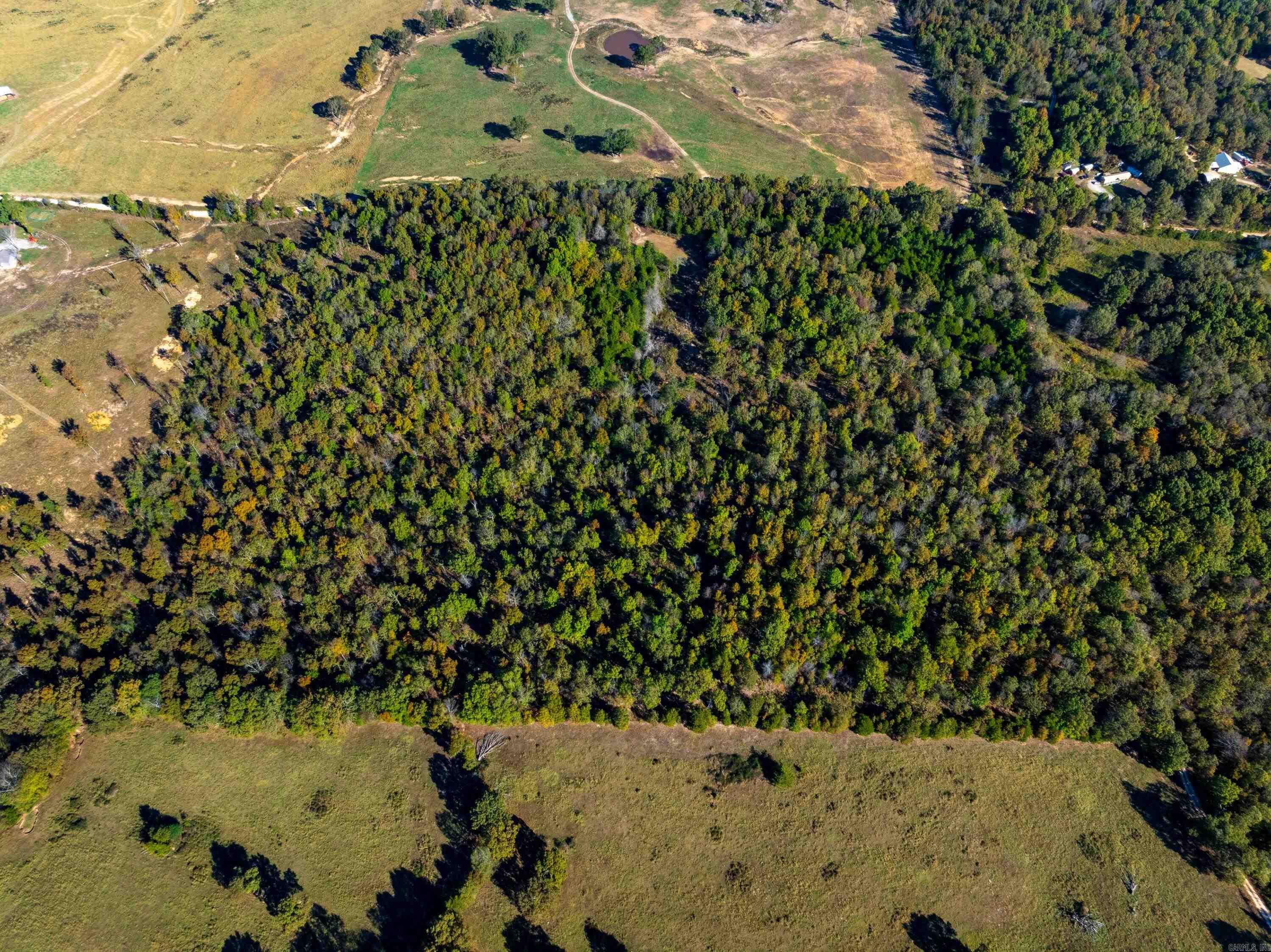 Photo 10 - Vacant Land for sale – 1670  Needmore   Sidney, AR