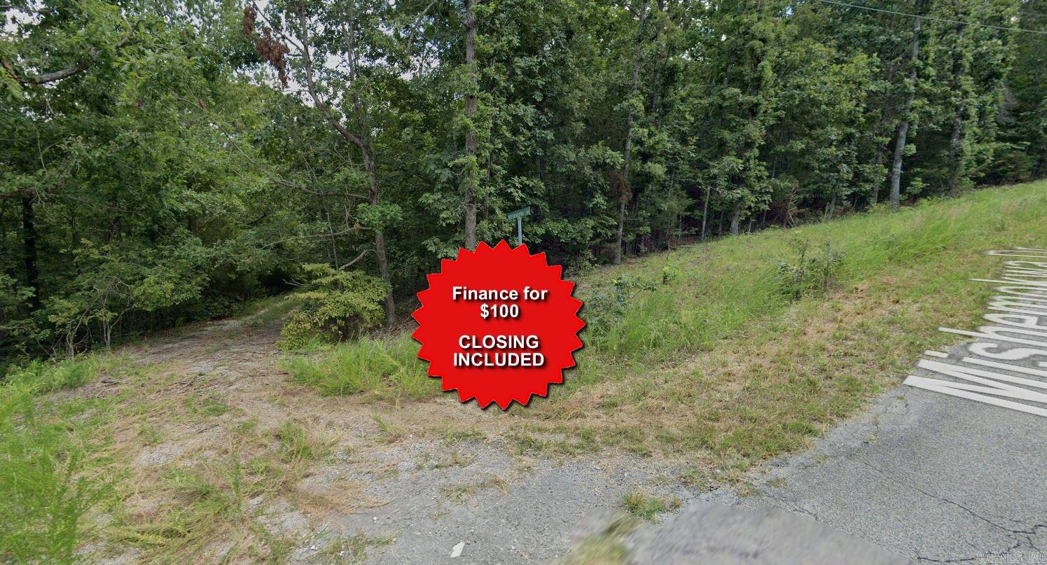 Vacant Land for sale – Lot 17  Mishemokwa   Cherokee Village, AR