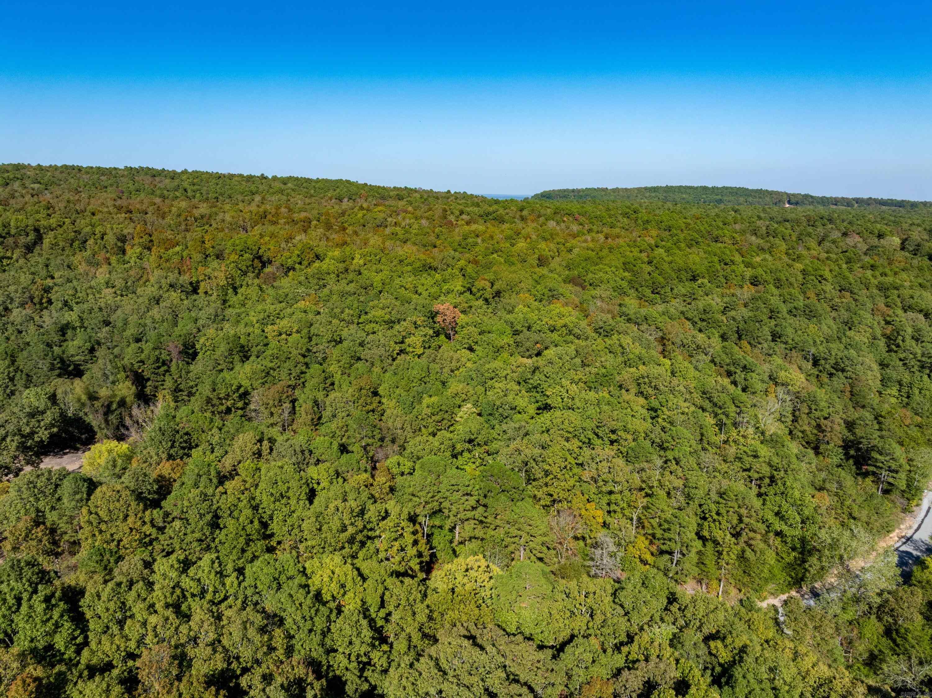 Photo 7 - Vacant Land for sale – 3011 and 2981  Jamestown Loop   Batesville, AR