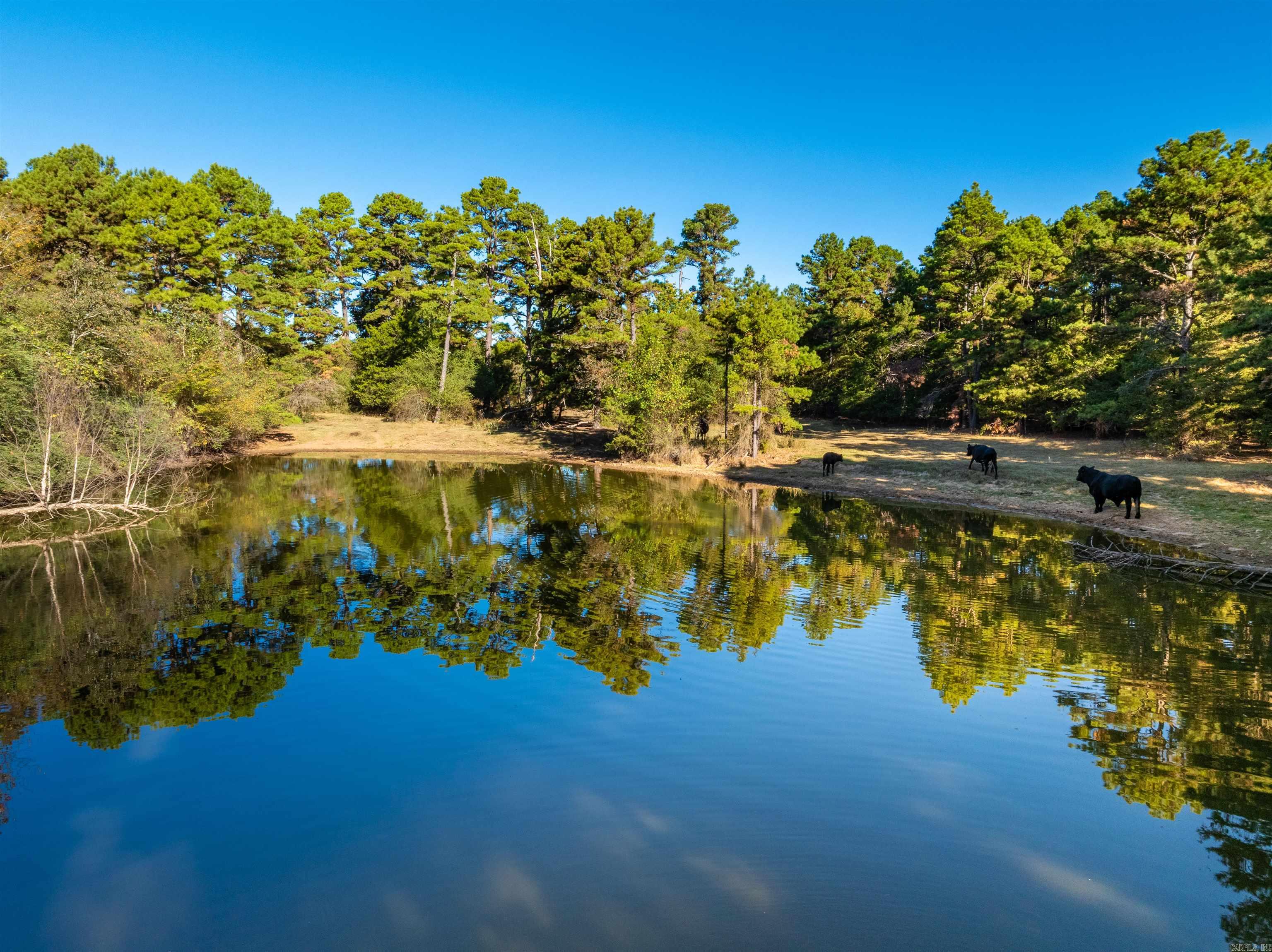 Photo 10 - Vacant Land for sale – 2079  Union Hill Rd   Bradford, AR